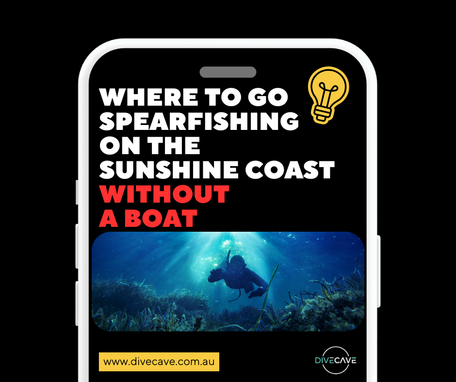 Where to Go Spearfishing on the Sunshine Coast Without a Boat