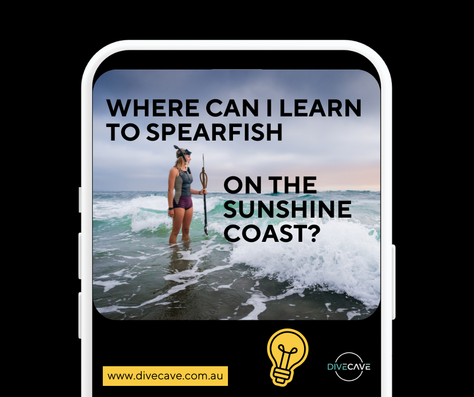 Where can I Learn Spearfishing on the Sunshine Coast & Brisbane?