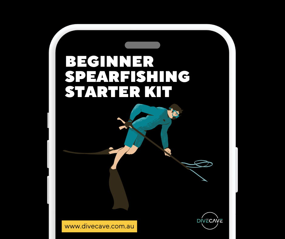 Beginner Spearfishing Starter Kit