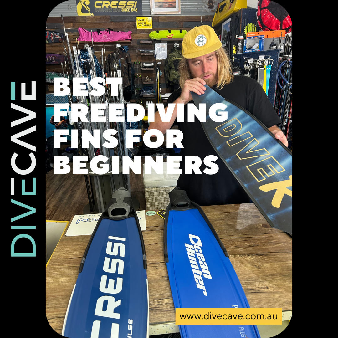Best Freediving Fins for Beginners