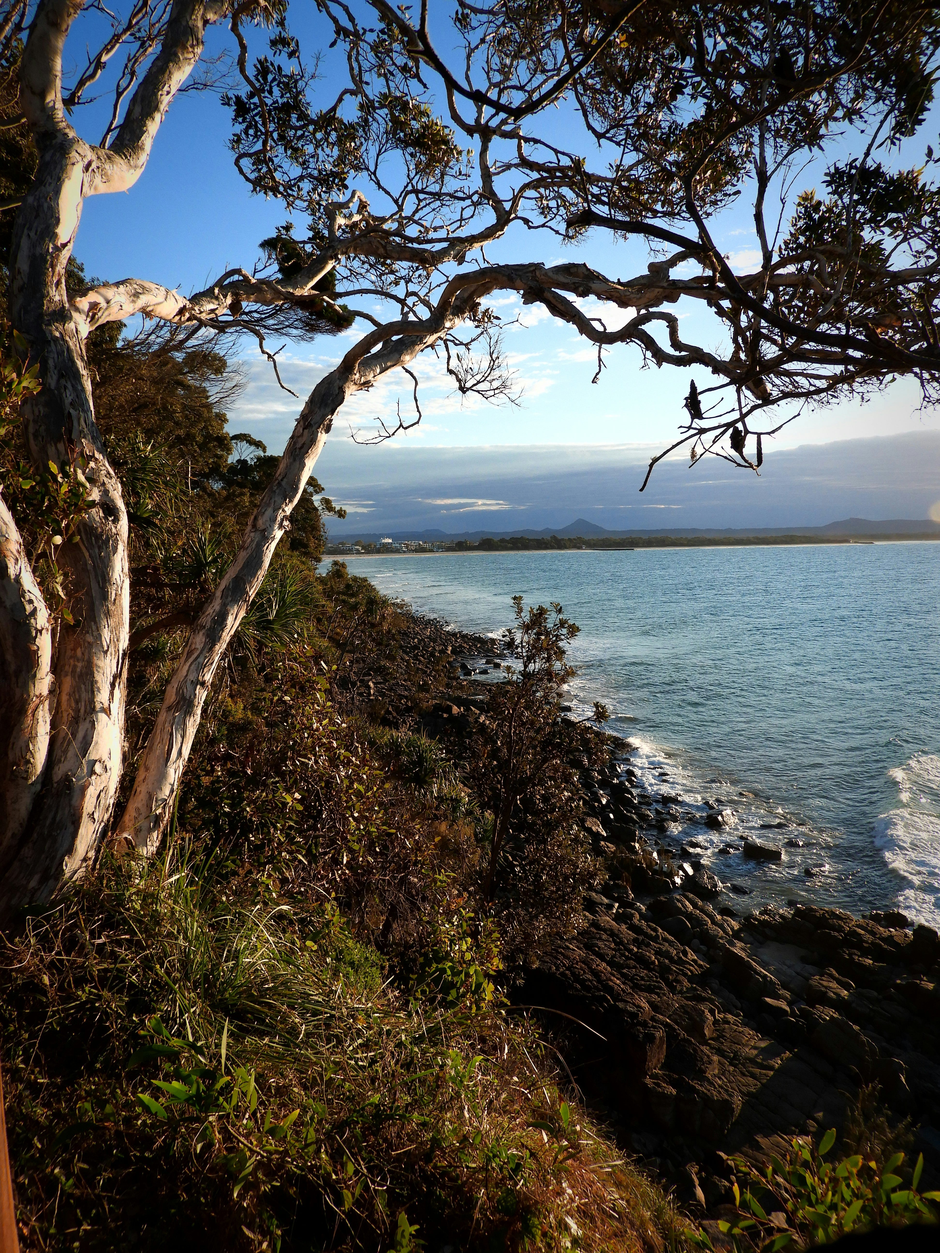 What Wetsuit Do I need For Spearfishing the Sunshine Coast?