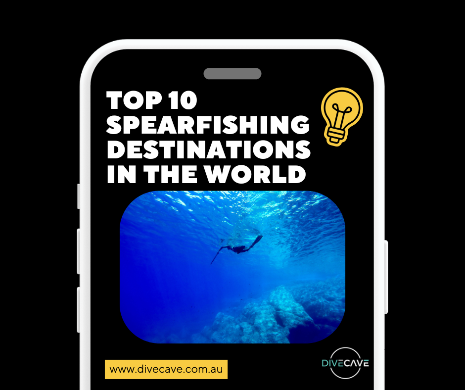 Top 10 Spearfishing Destinations in the World