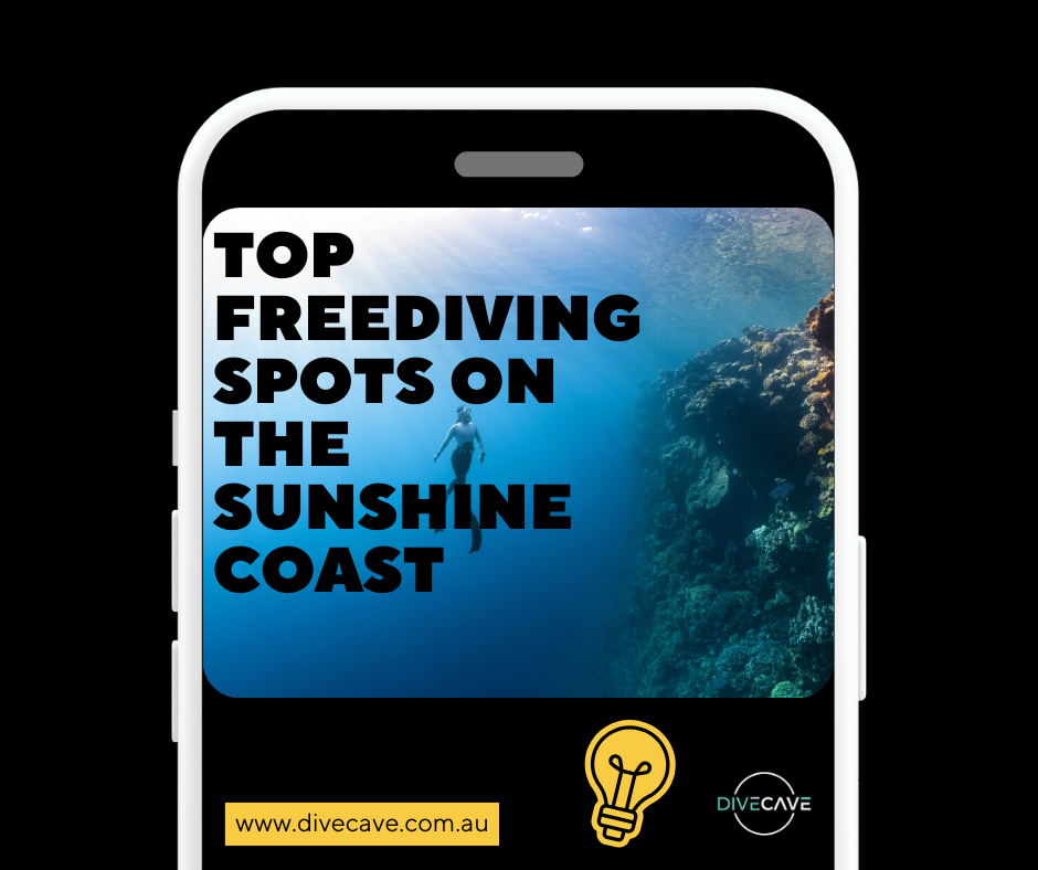 Top Freediving Spots on the Sunshine Coast (and What to Bring)