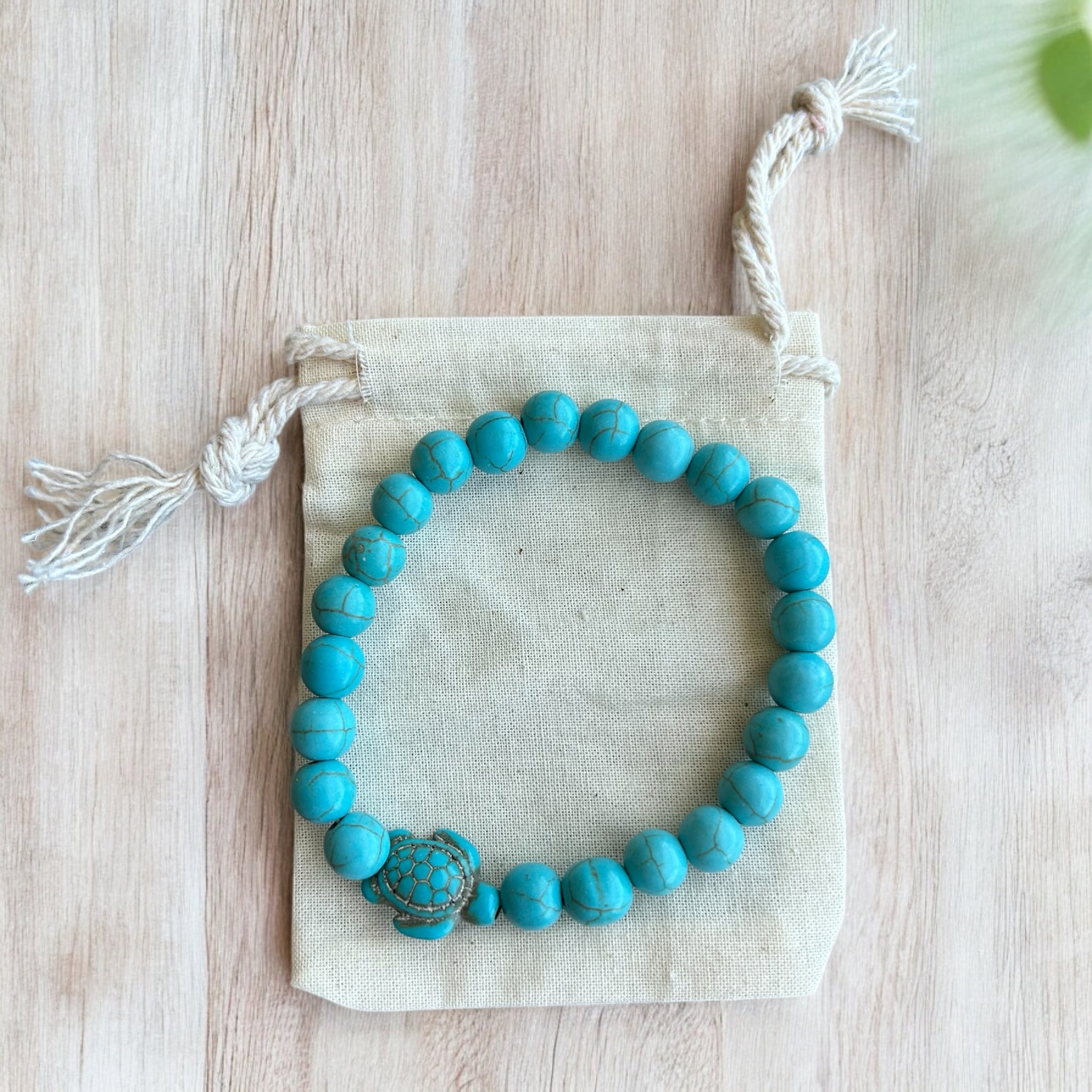 Turtle Lovers Journal Gift Pack