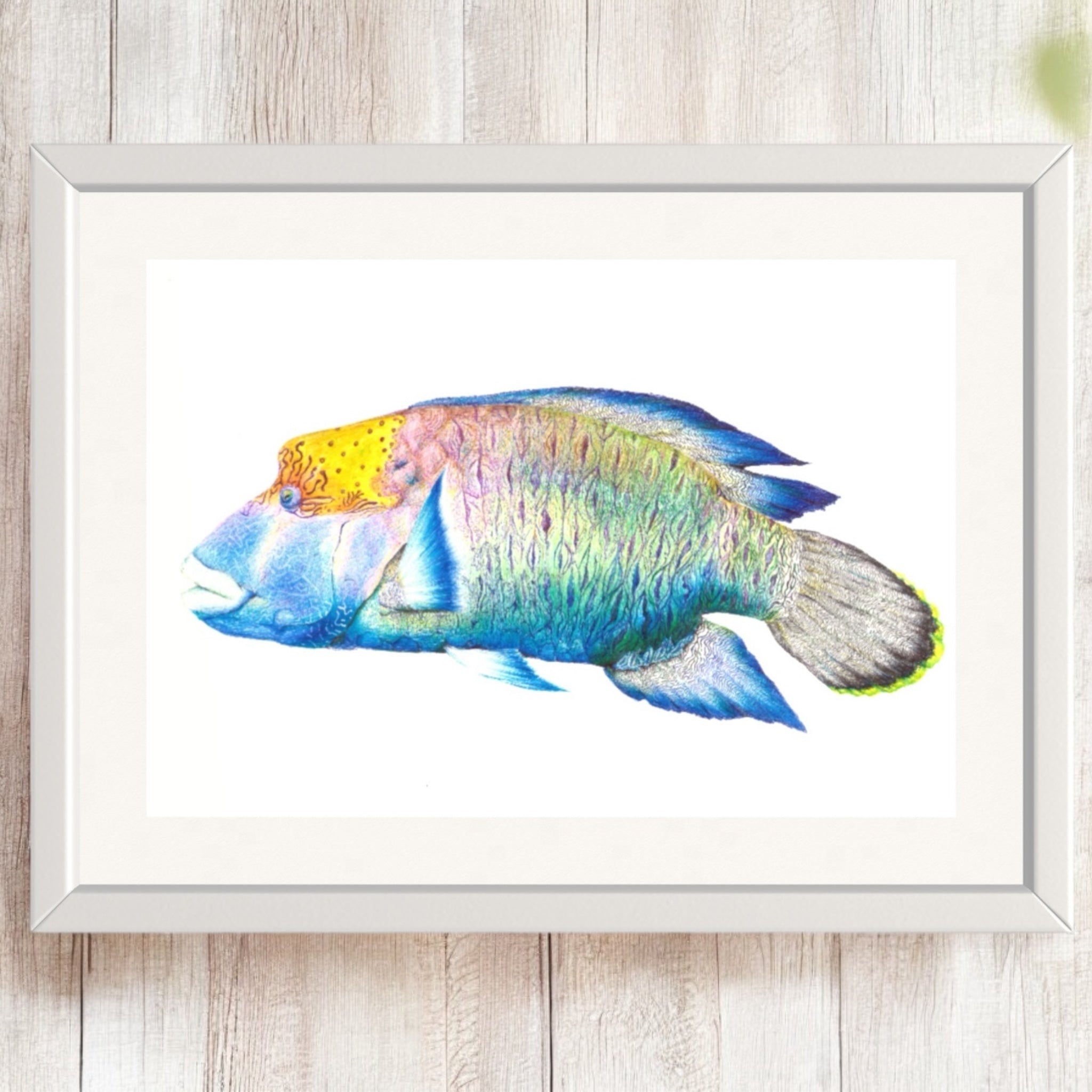 Biro By Brooke -A3 Prints