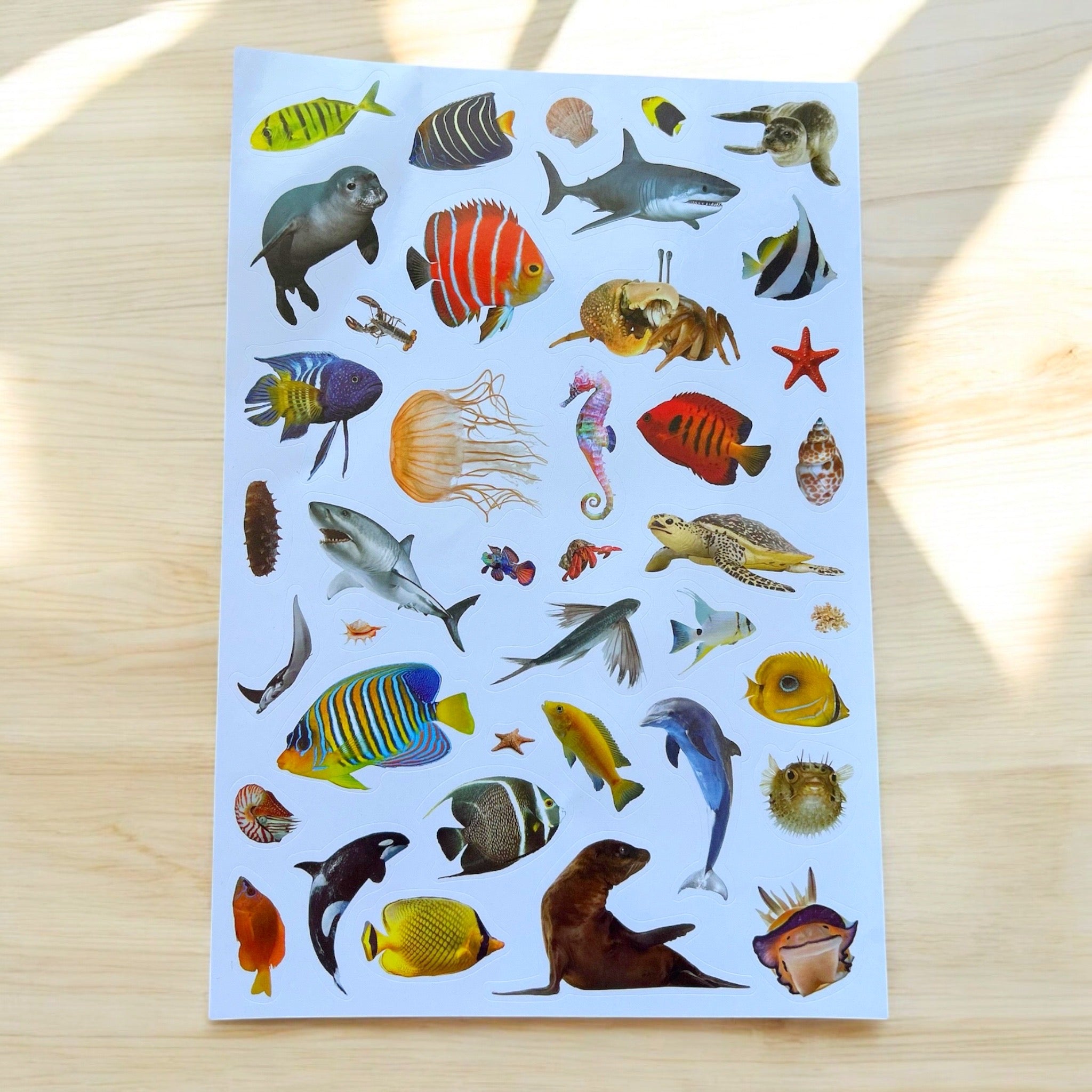 Salty Creatures Sticker Sheet