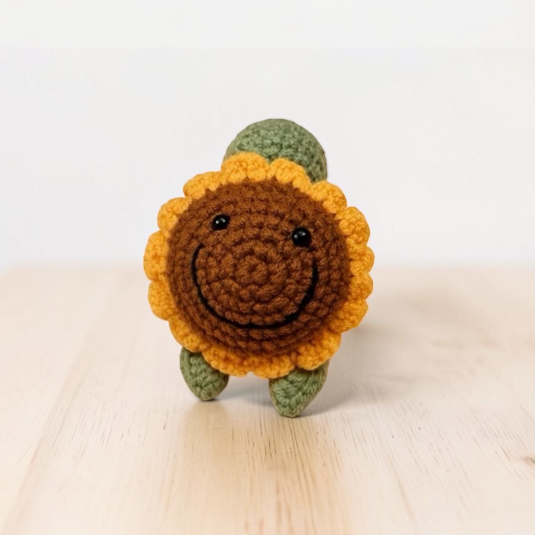 Crotchet Turtle