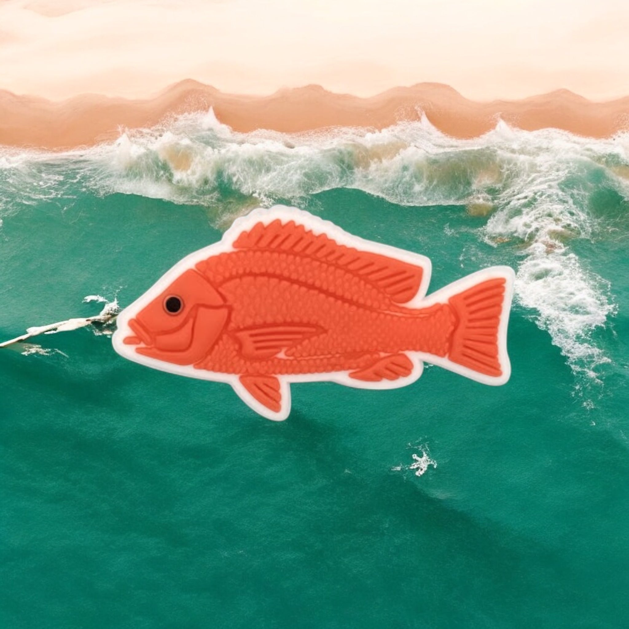 Reef Lagoon Fish charms - Individual