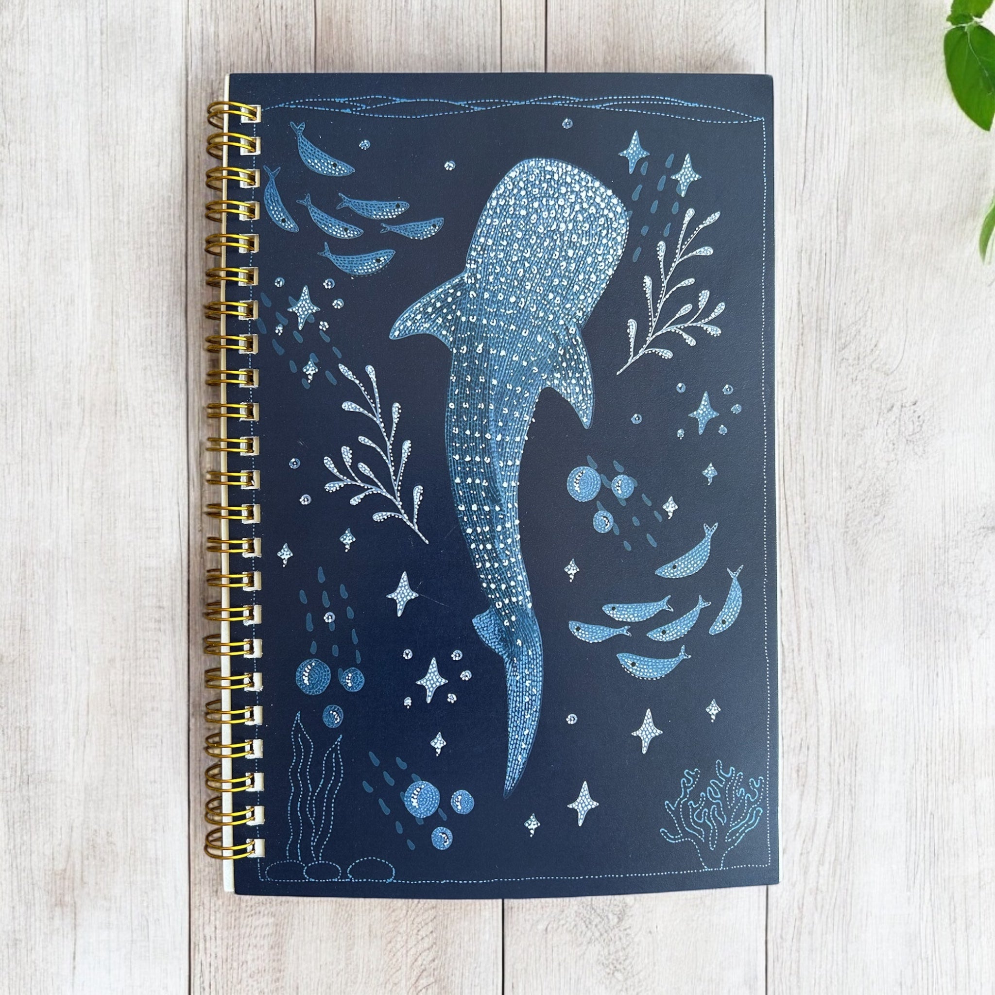 Whale Shark Lovers - Gift Pack