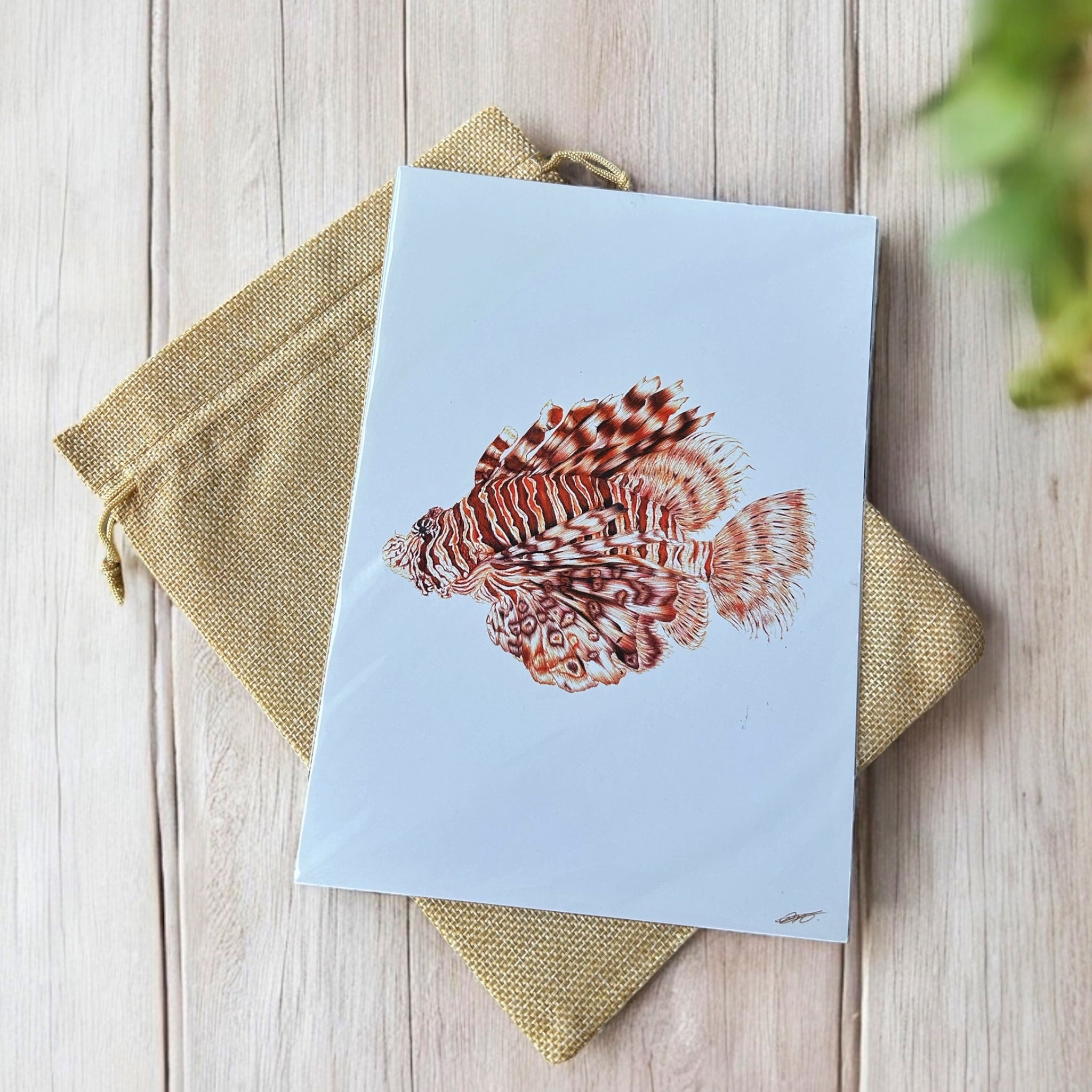 Biro By Brooke - A5 prints