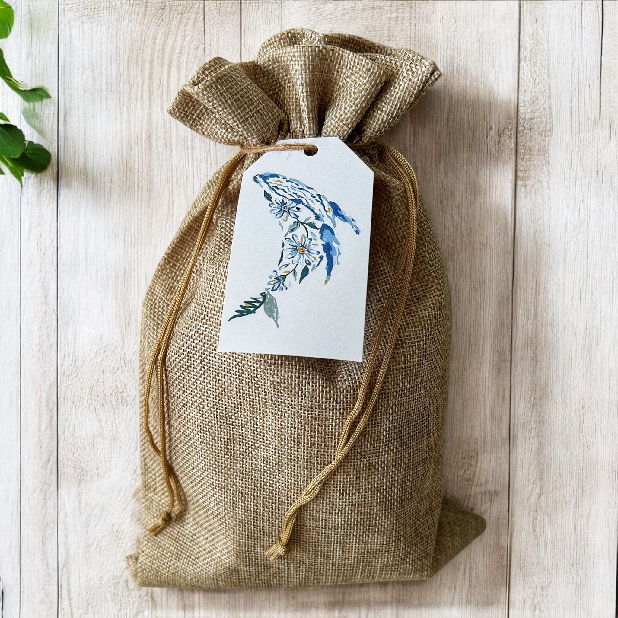 Whale Shark Lovers - Gift Pack