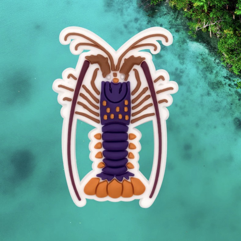 Reef Lagoon Fish charms - Individual