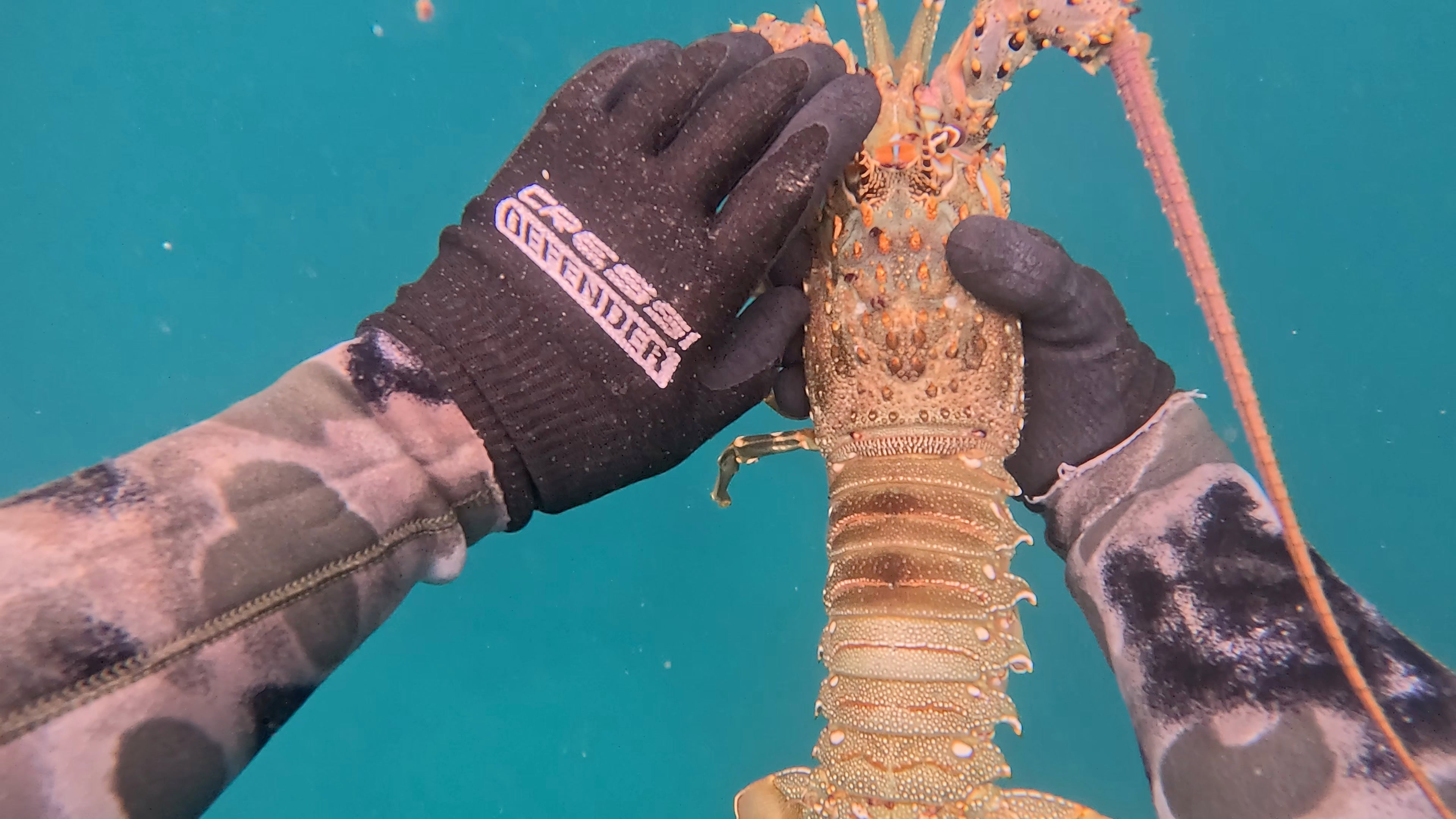 Cressi Defender 2mm Dive Glove