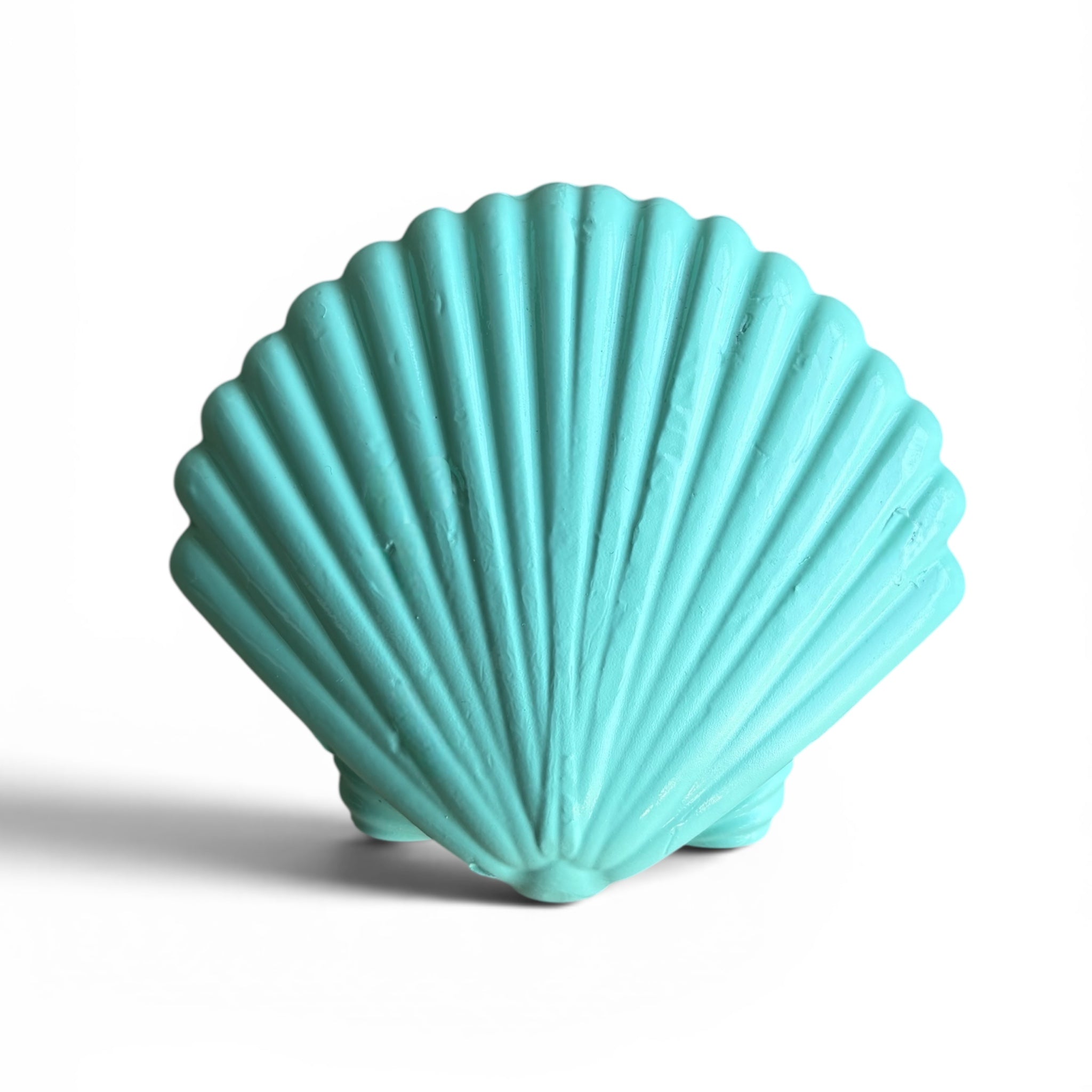Dive Cave Seashell Lead Weights 1kg