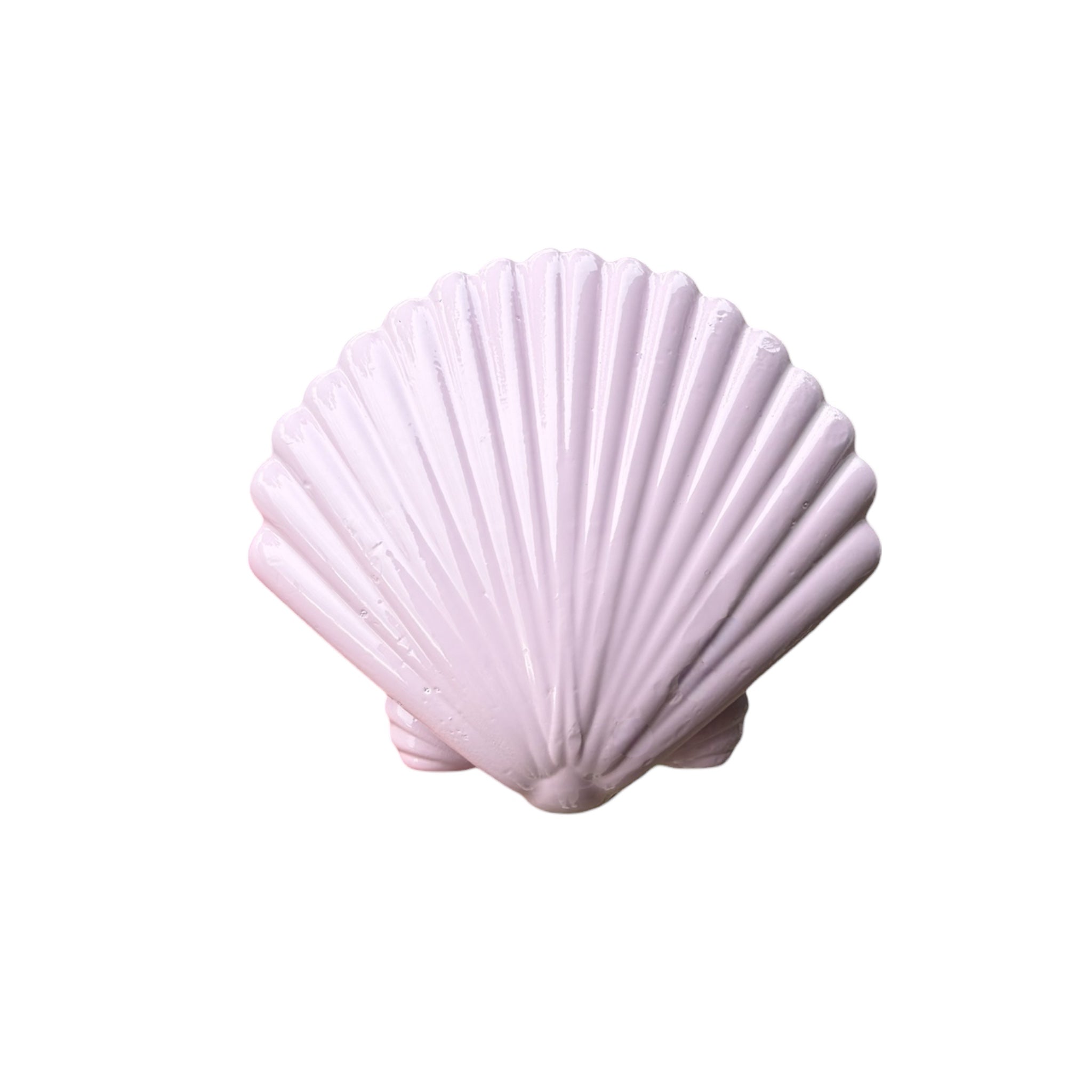 Dive Cave Seashell Lead Weights 1kg (coloured)