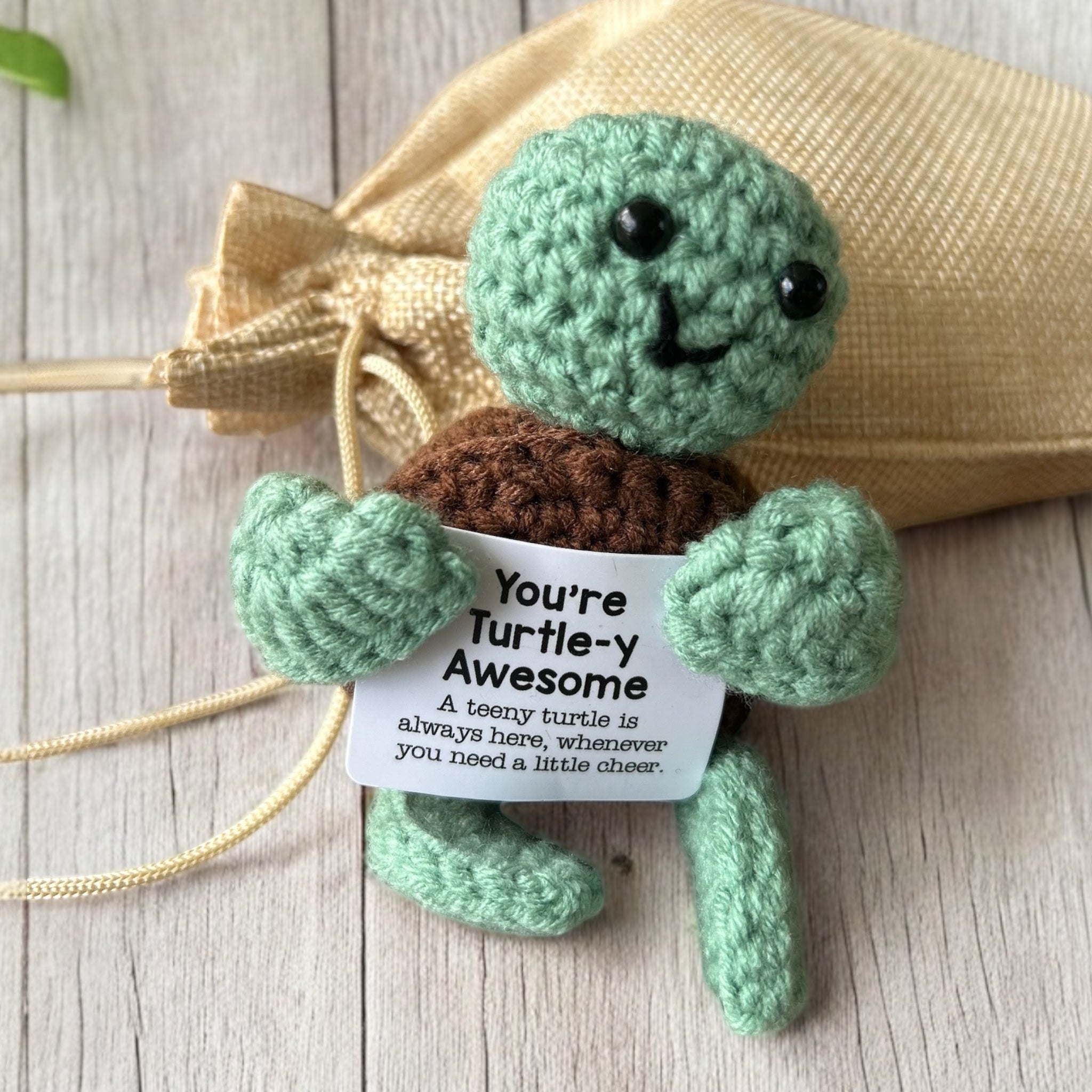 Turtley in Love - Gift Pack