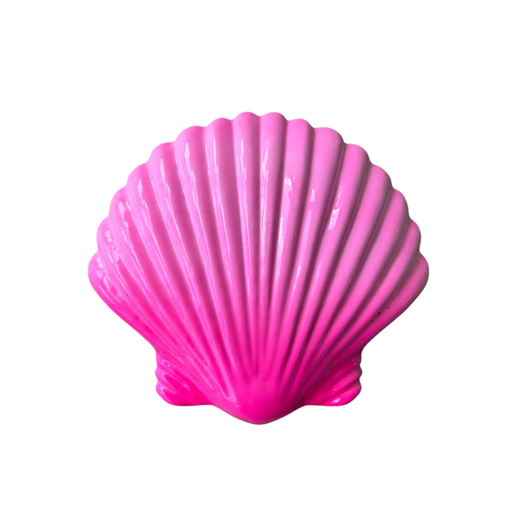 Dive Cave Seashell Lead Weights 1kg