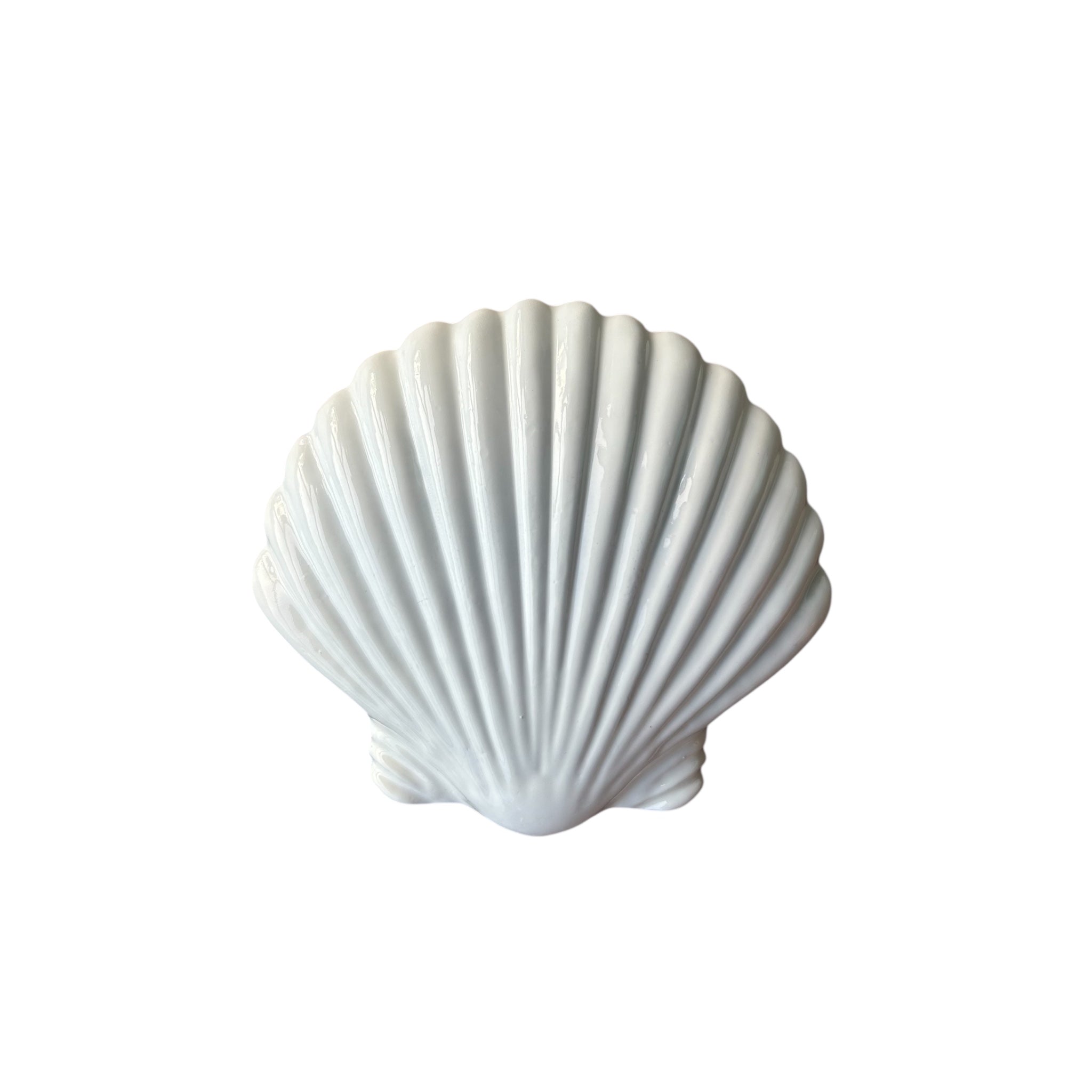 Dive Cave Seashell Lead Weights 1kg