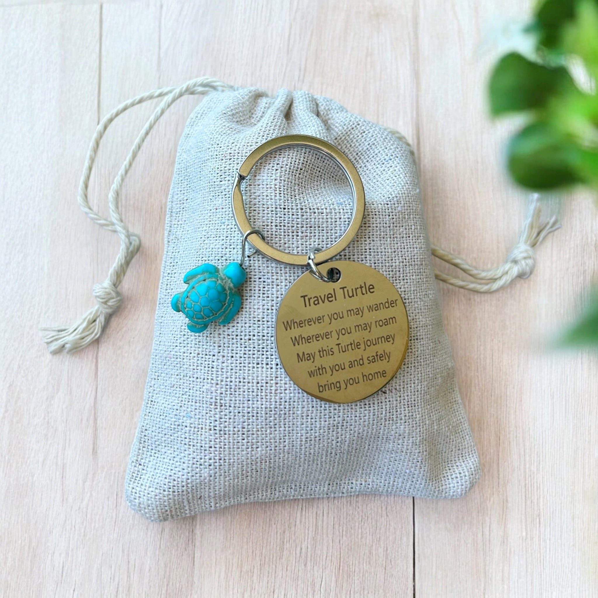 Turtle Lovers Gift Pack 2