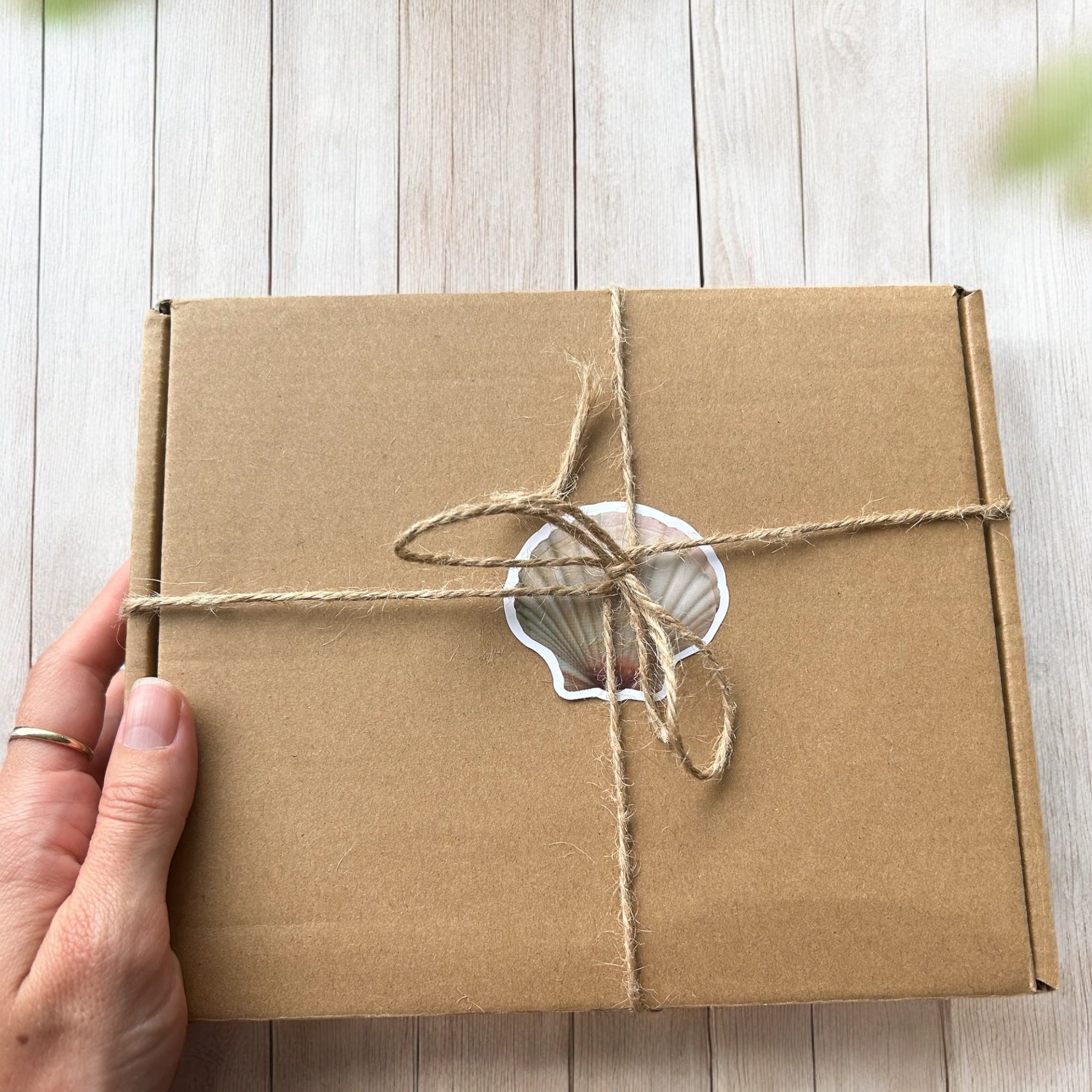 Ultimate Ocean Lovers Gift Bundle