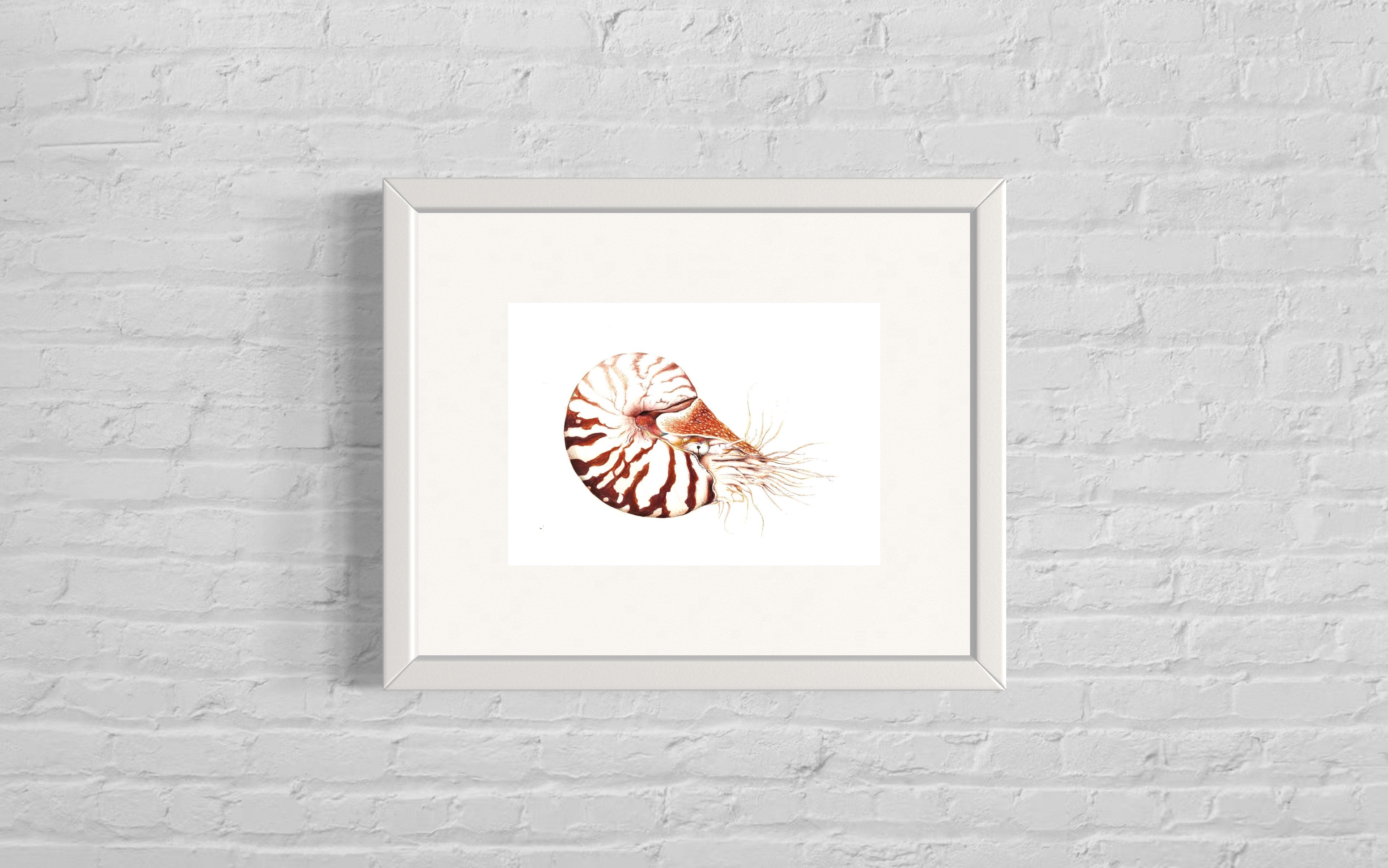 Biro By Brooke -A4 Prints