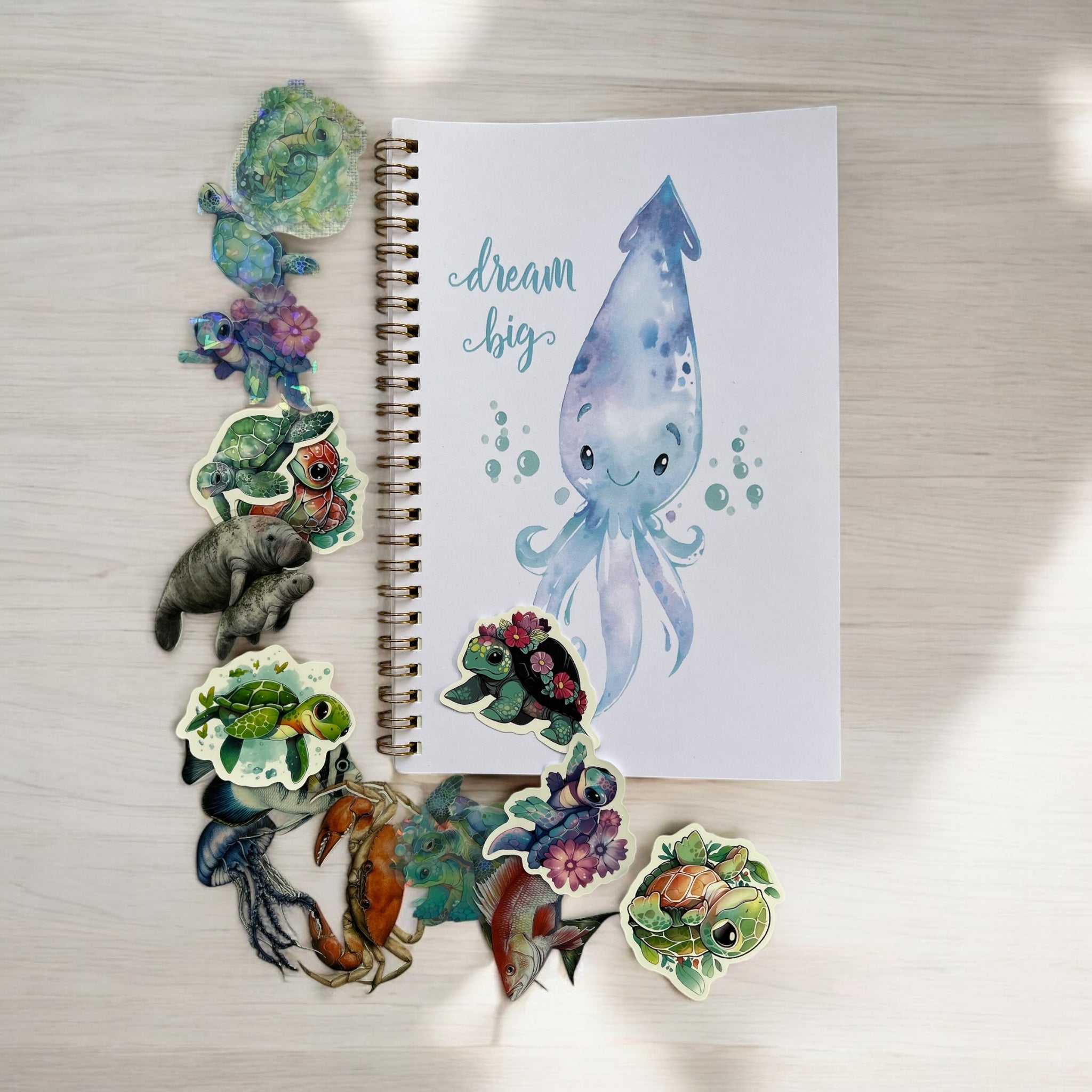 Journal And Sticker Pack