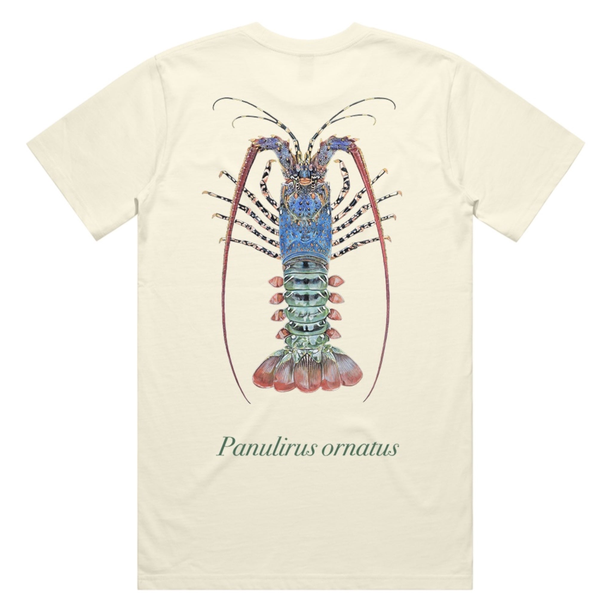 Reef Lagoon Tee - Ornate Lobster (Cream)