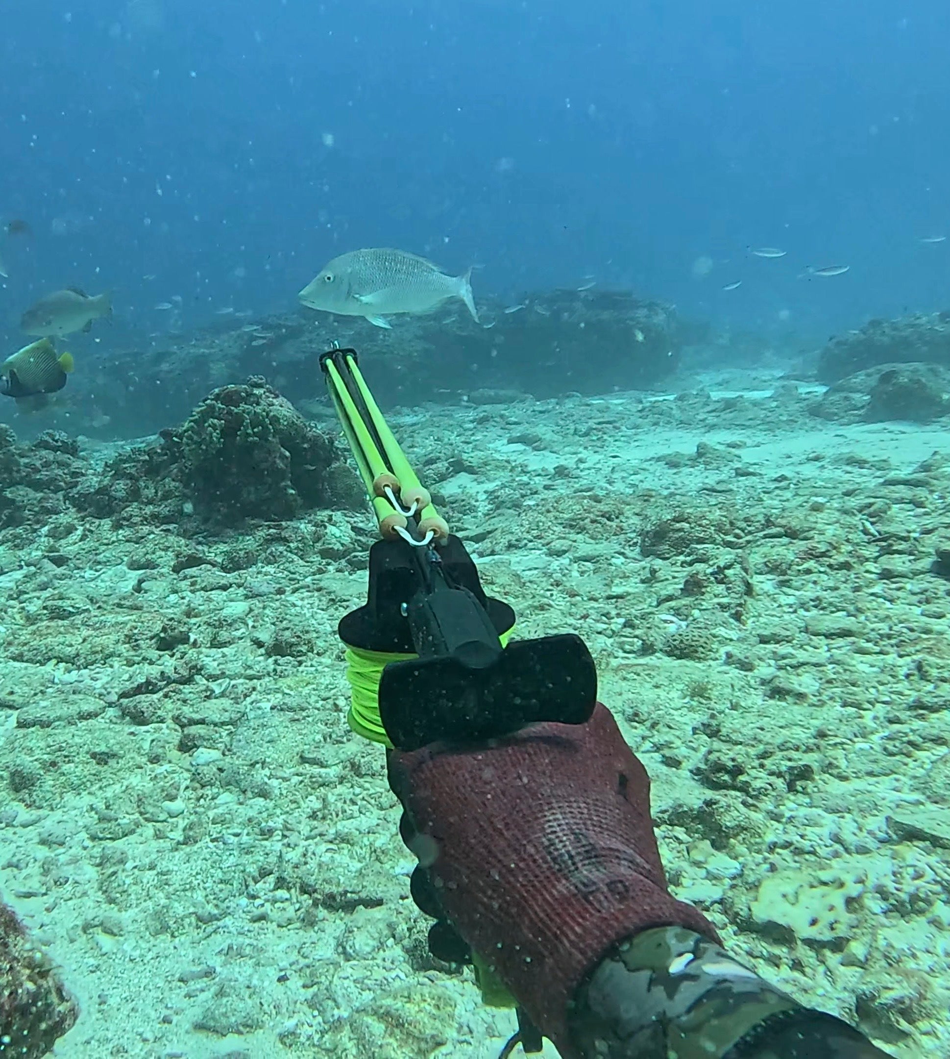 Speargun-Rabitech-Stealth-Pro 2