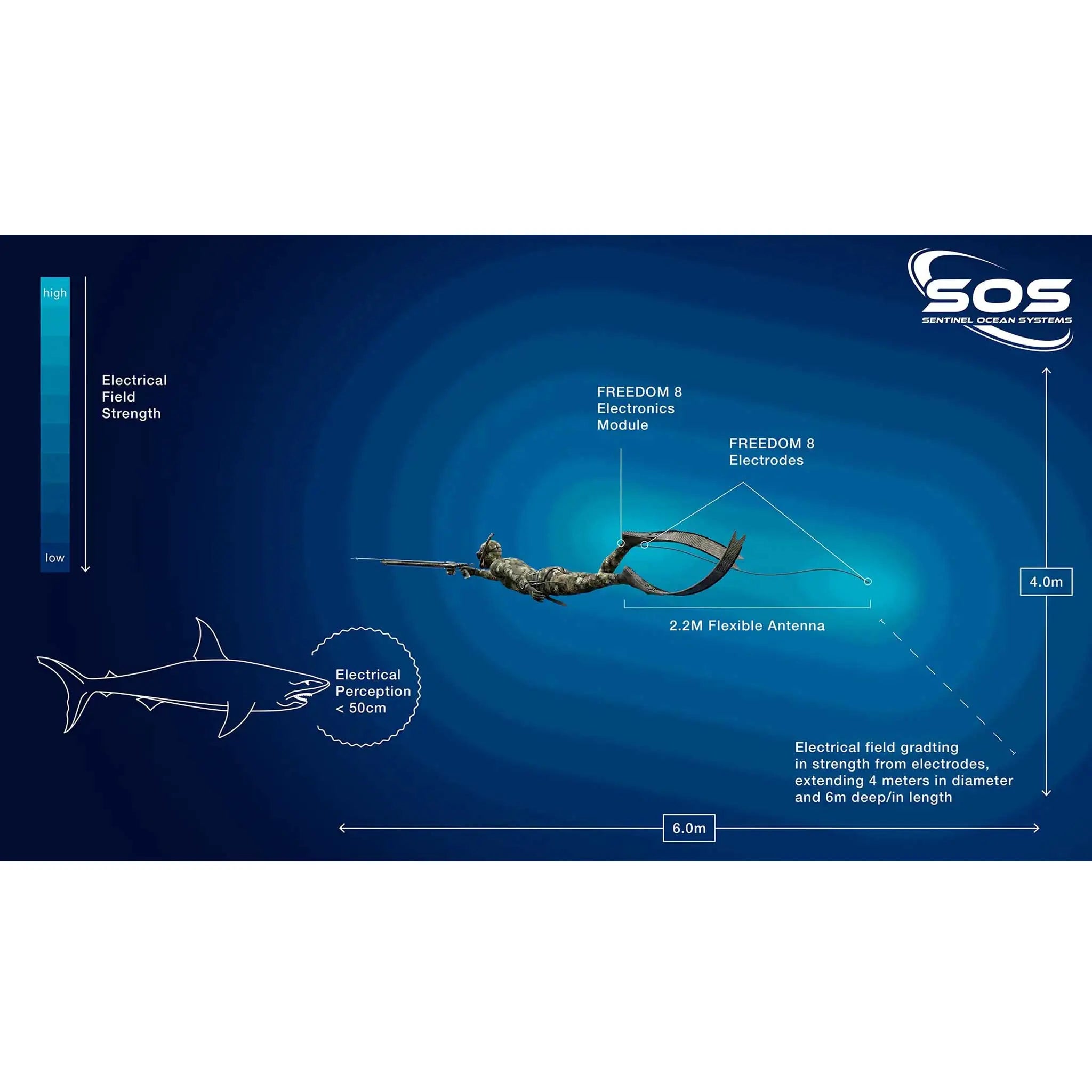 Freedom8 Shark Deterrents: What They Are, How They Work and What the Science Says