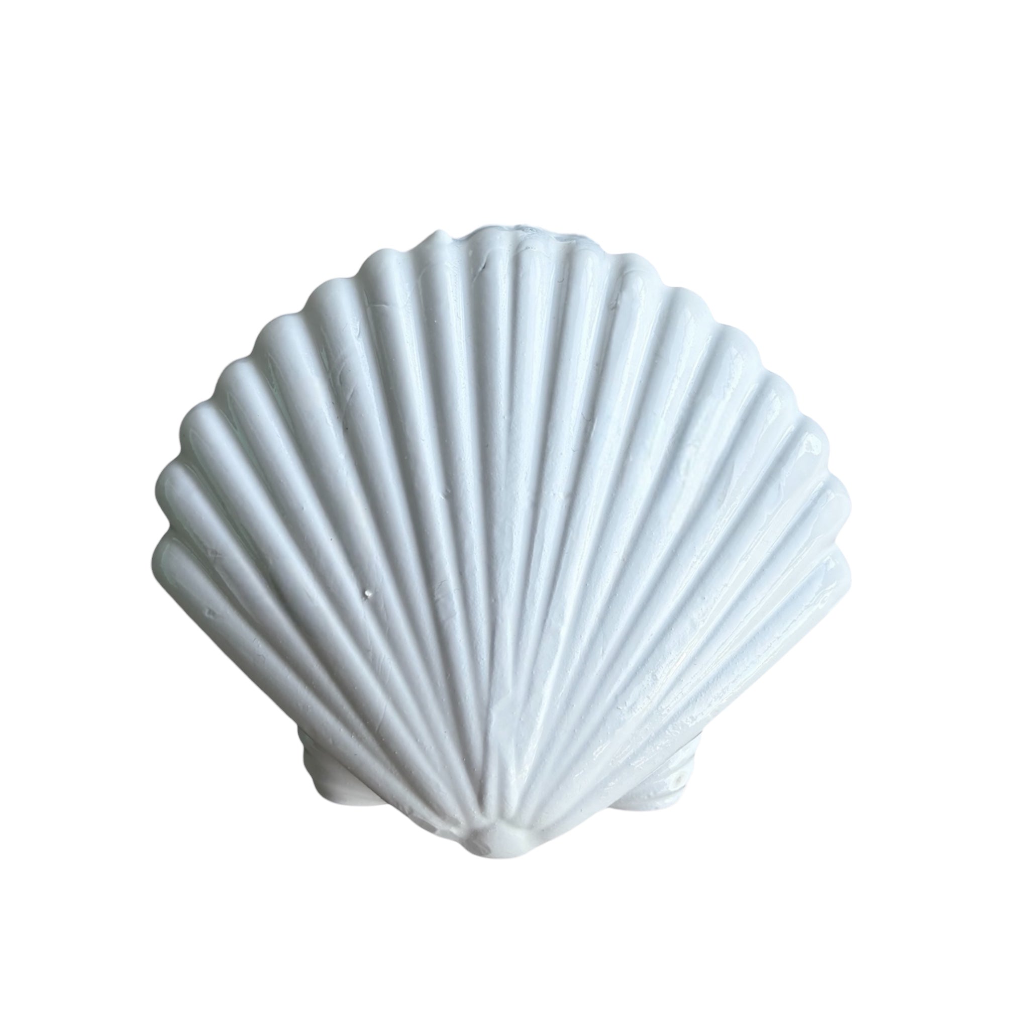 Dive Cave Seashell Lead Weights 1kg (coloured)