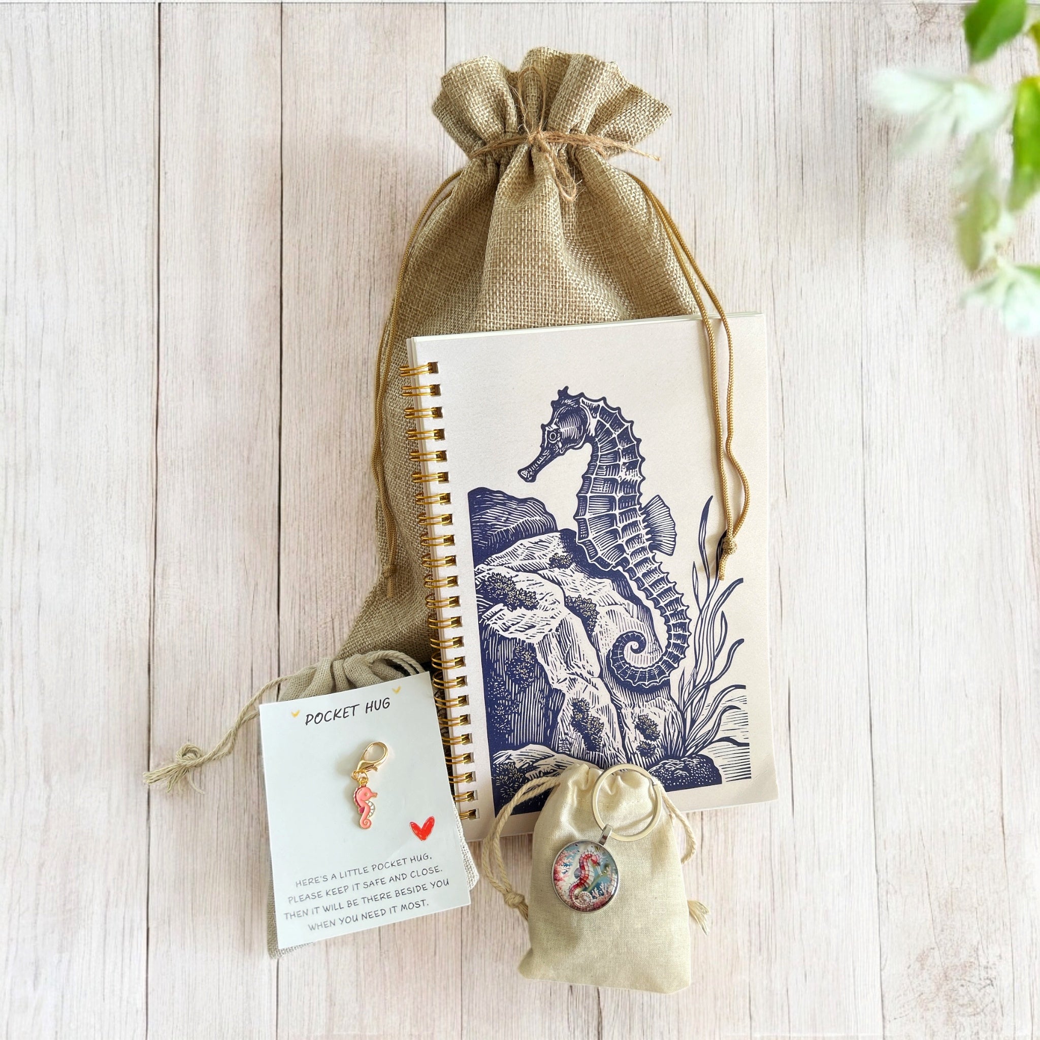 Seahorse Lovers Gift Pack