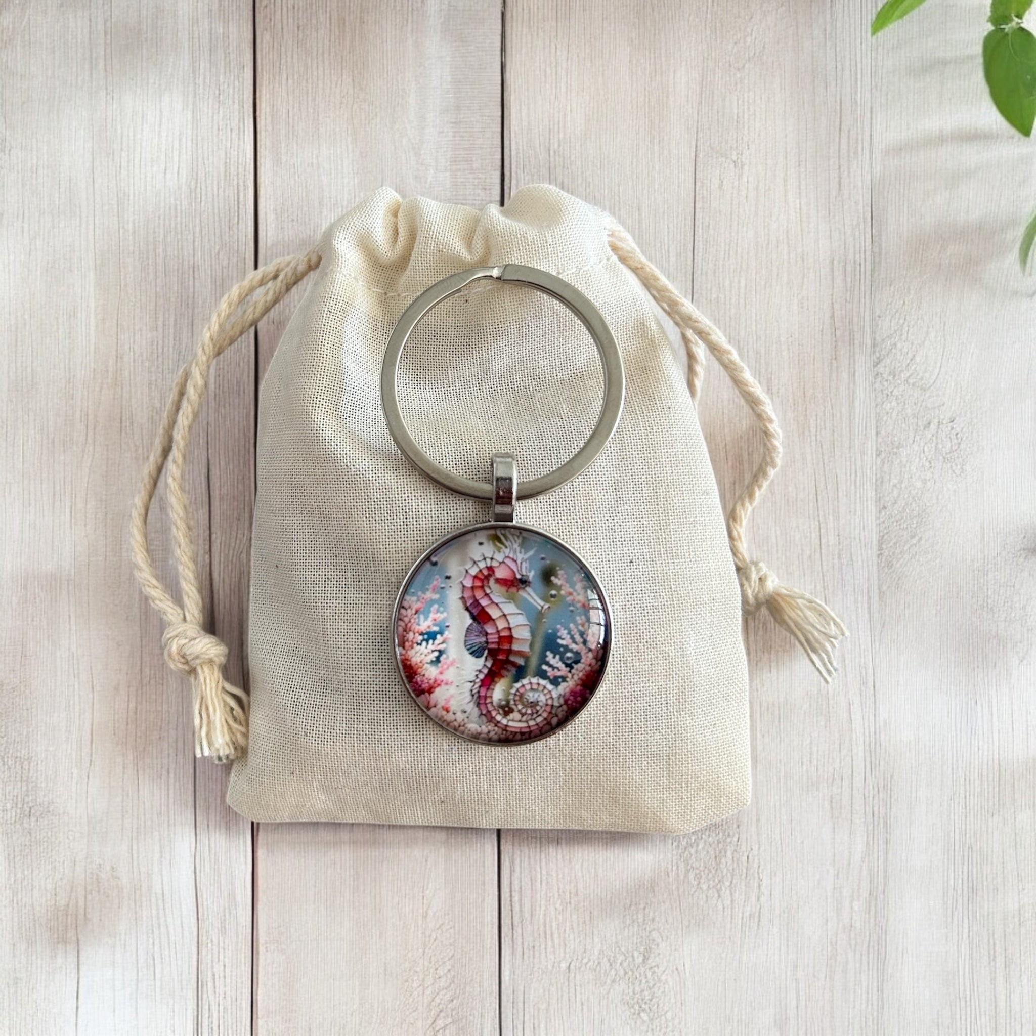 Seahorse Lovers Gift Pack