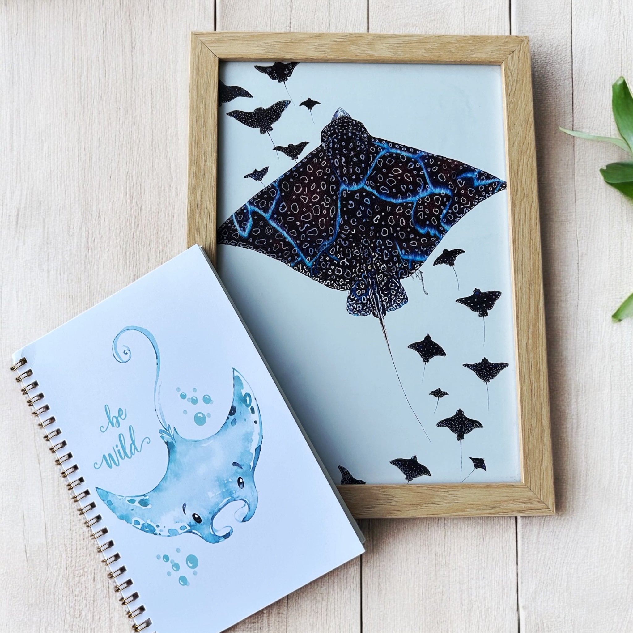 Mantaray Majesty - Gift Pack