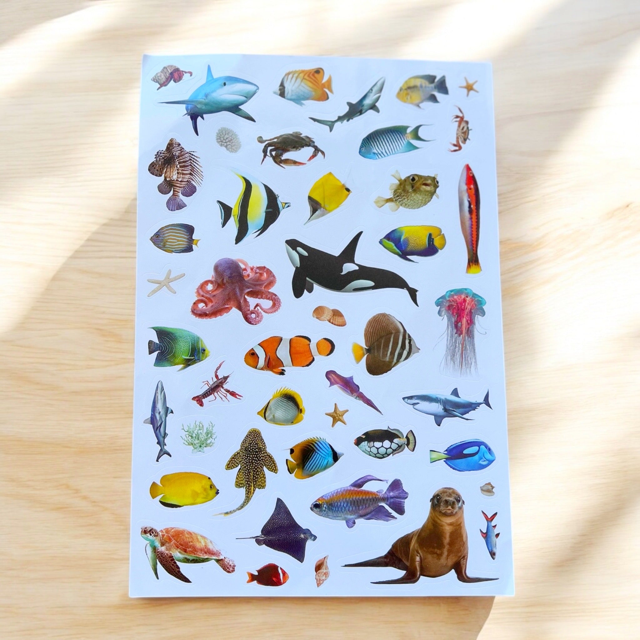Salty Creatures Sticker Sheet