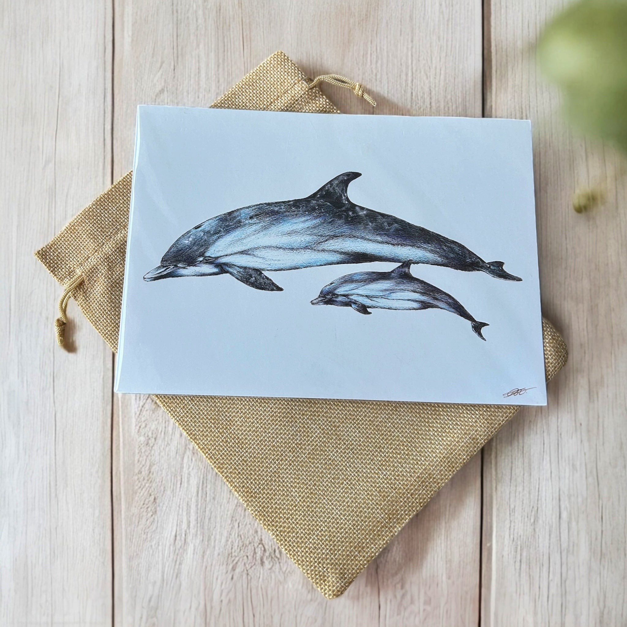 Biro By Brooke - A5 prints