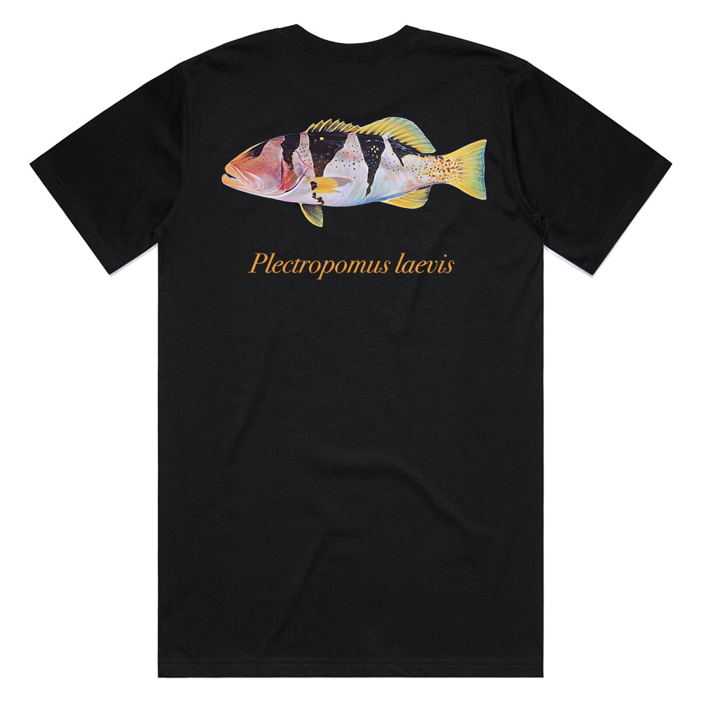Reef Lagoon Tee - Footballer Coral Trout