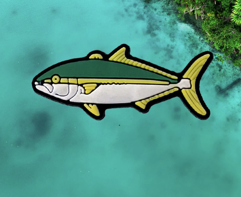 Reef Lagoon Fish charms - Individual