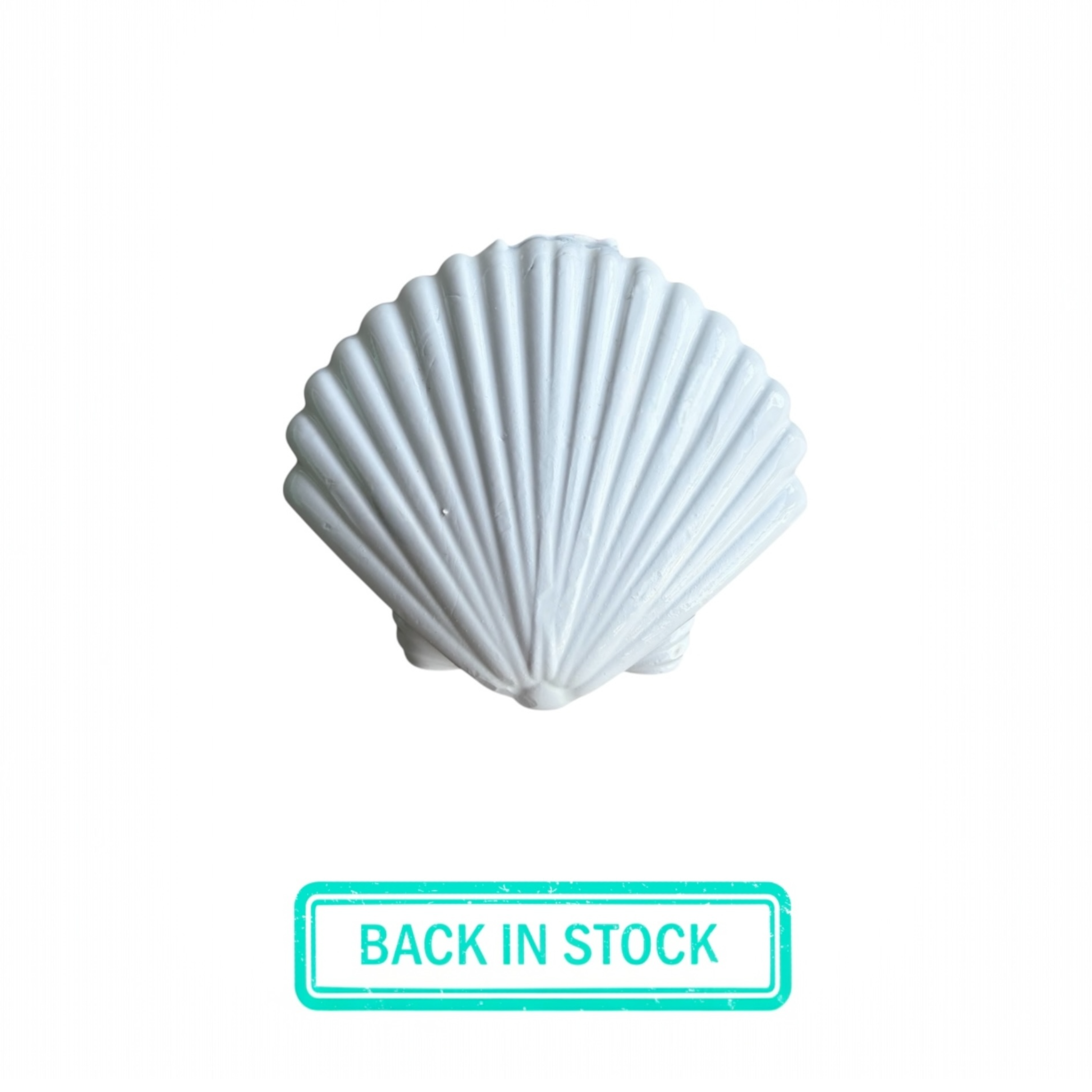 Dive Cave Seashell Lead Weights 1kg