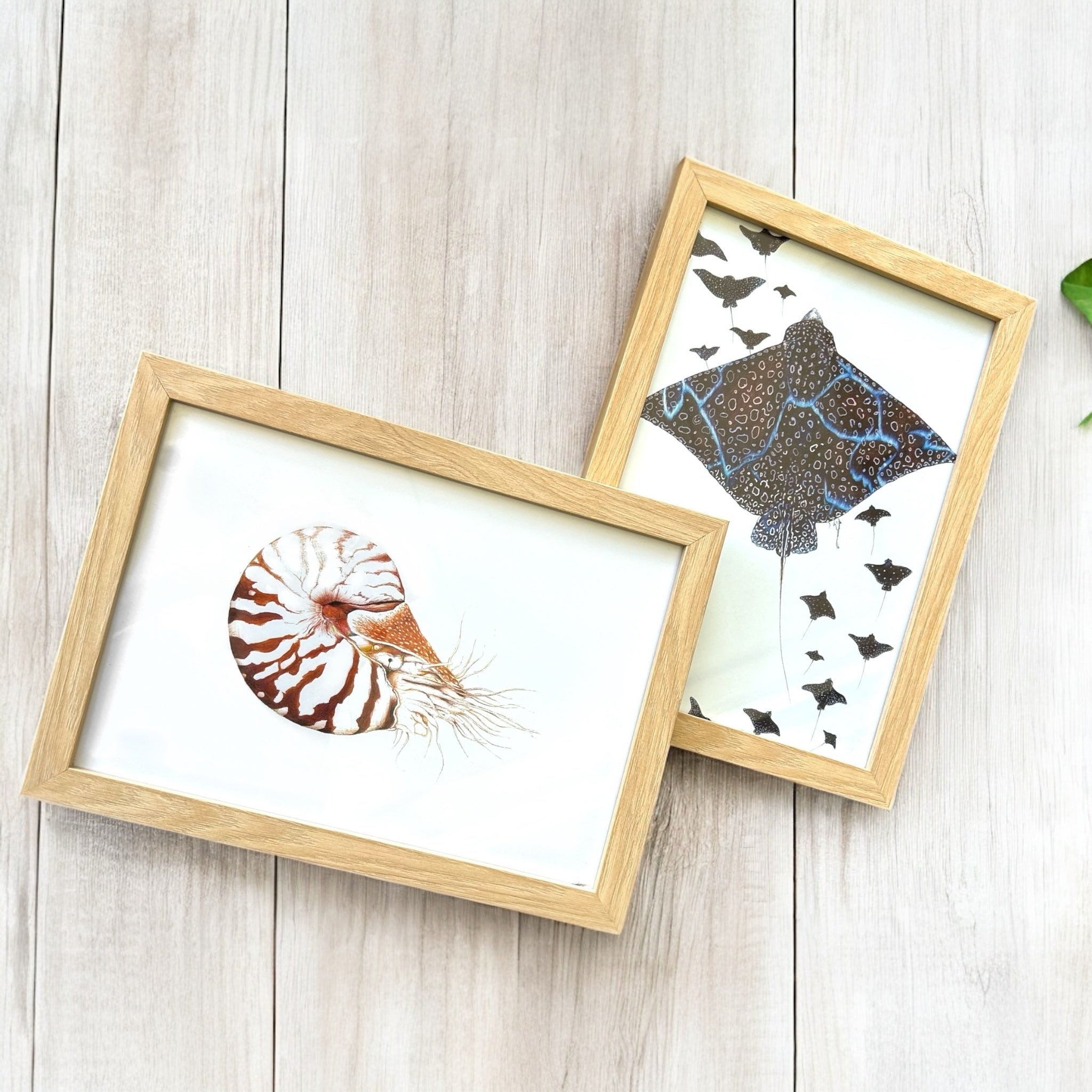 Biro By Brooke  -A4 Framed Prints