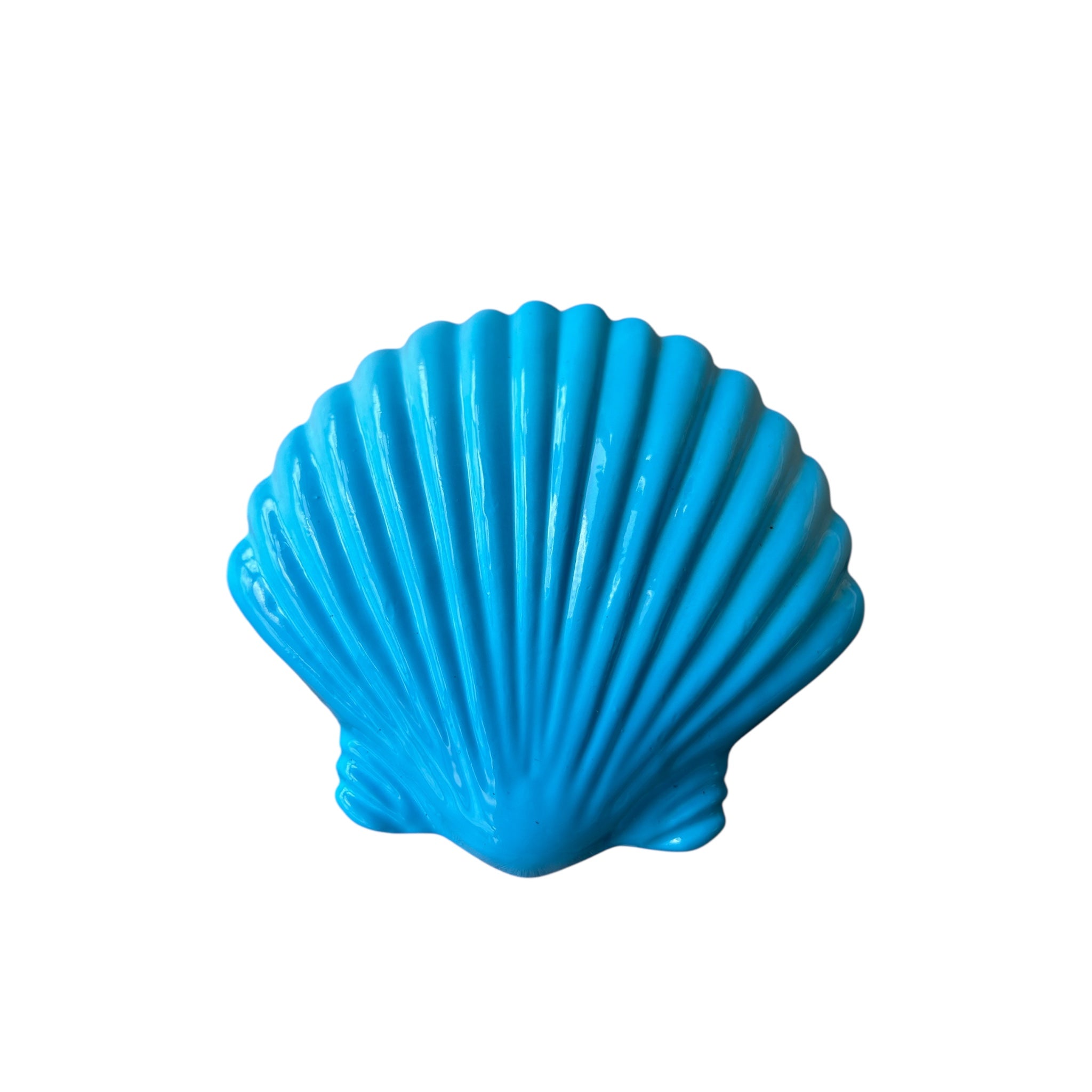 Dive Cave Seashell Lead Weights 1kg