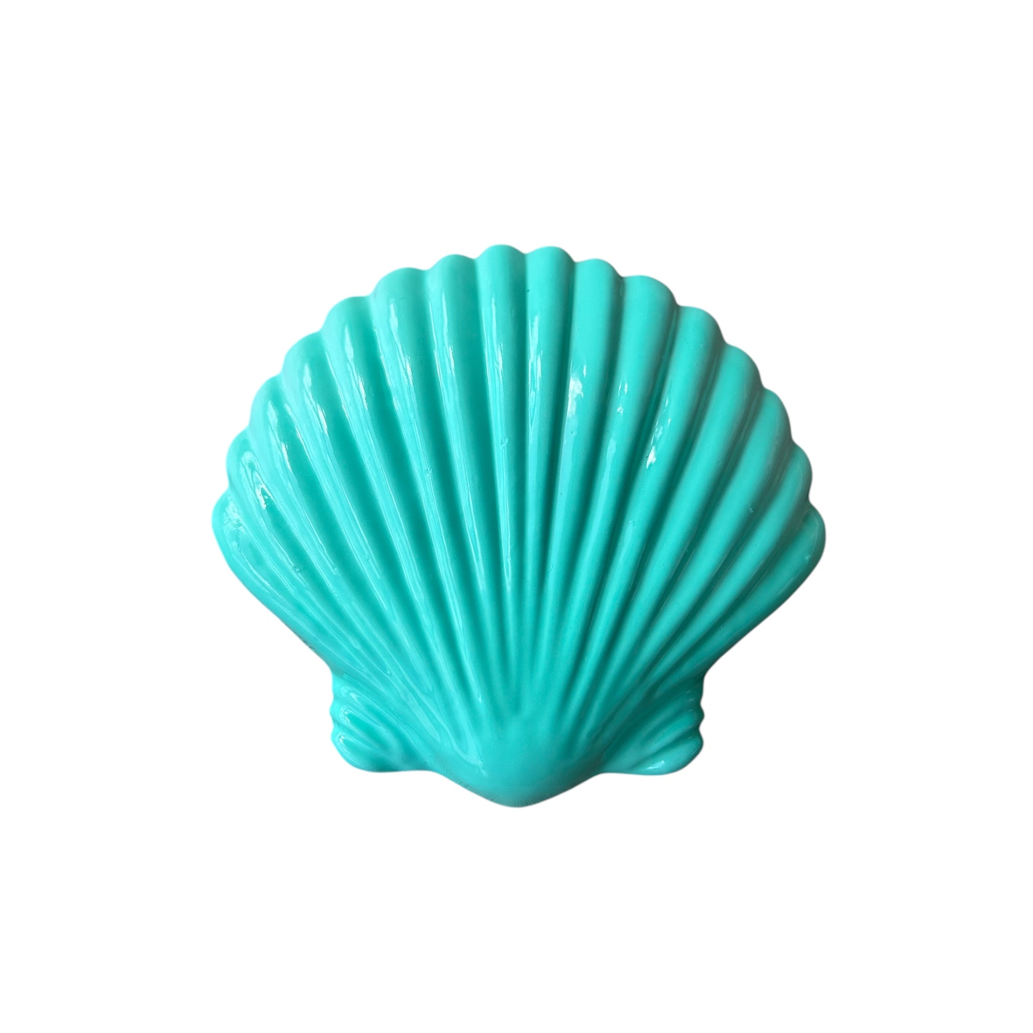 Dive Cave Seashell Lead Weights 1kg