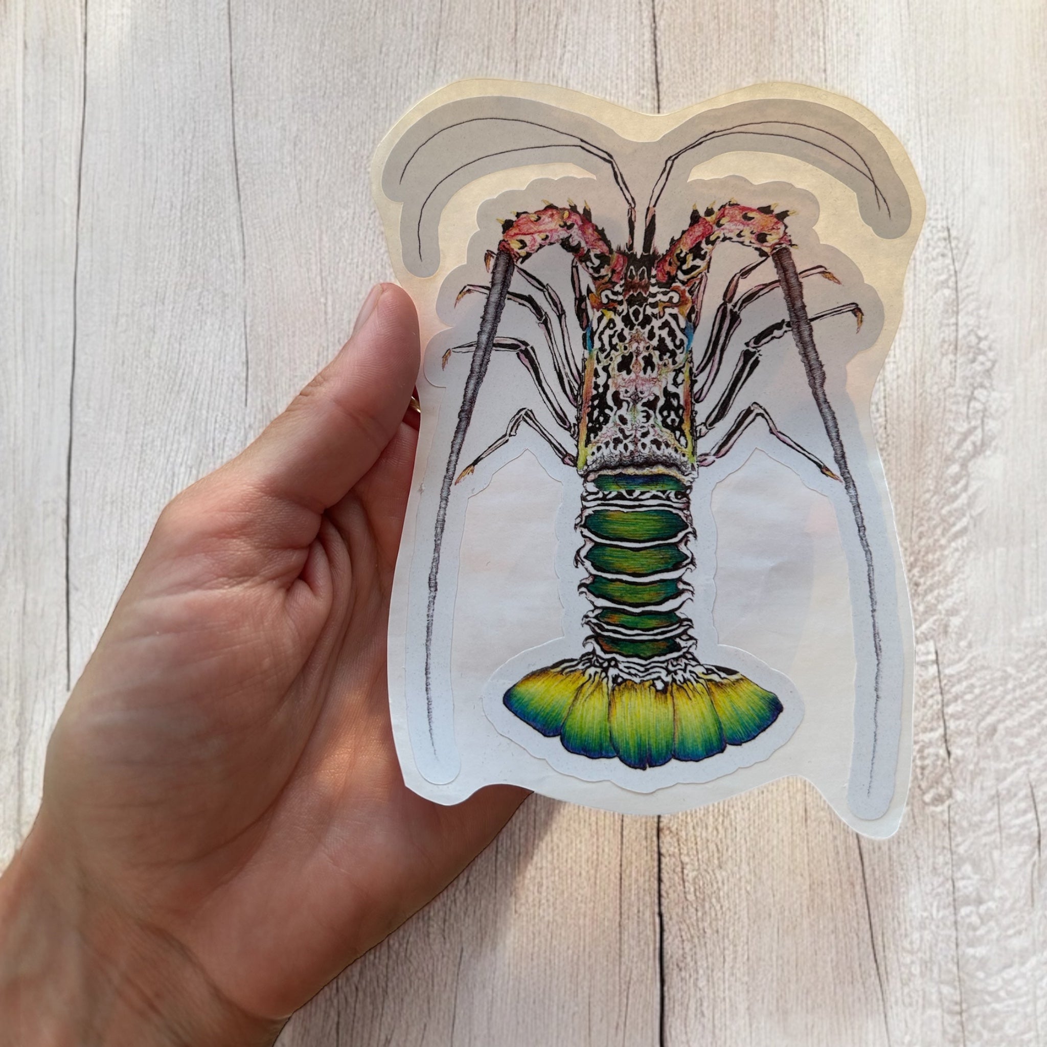 Waterproof Ocean animal stickers - Biro By Brooke