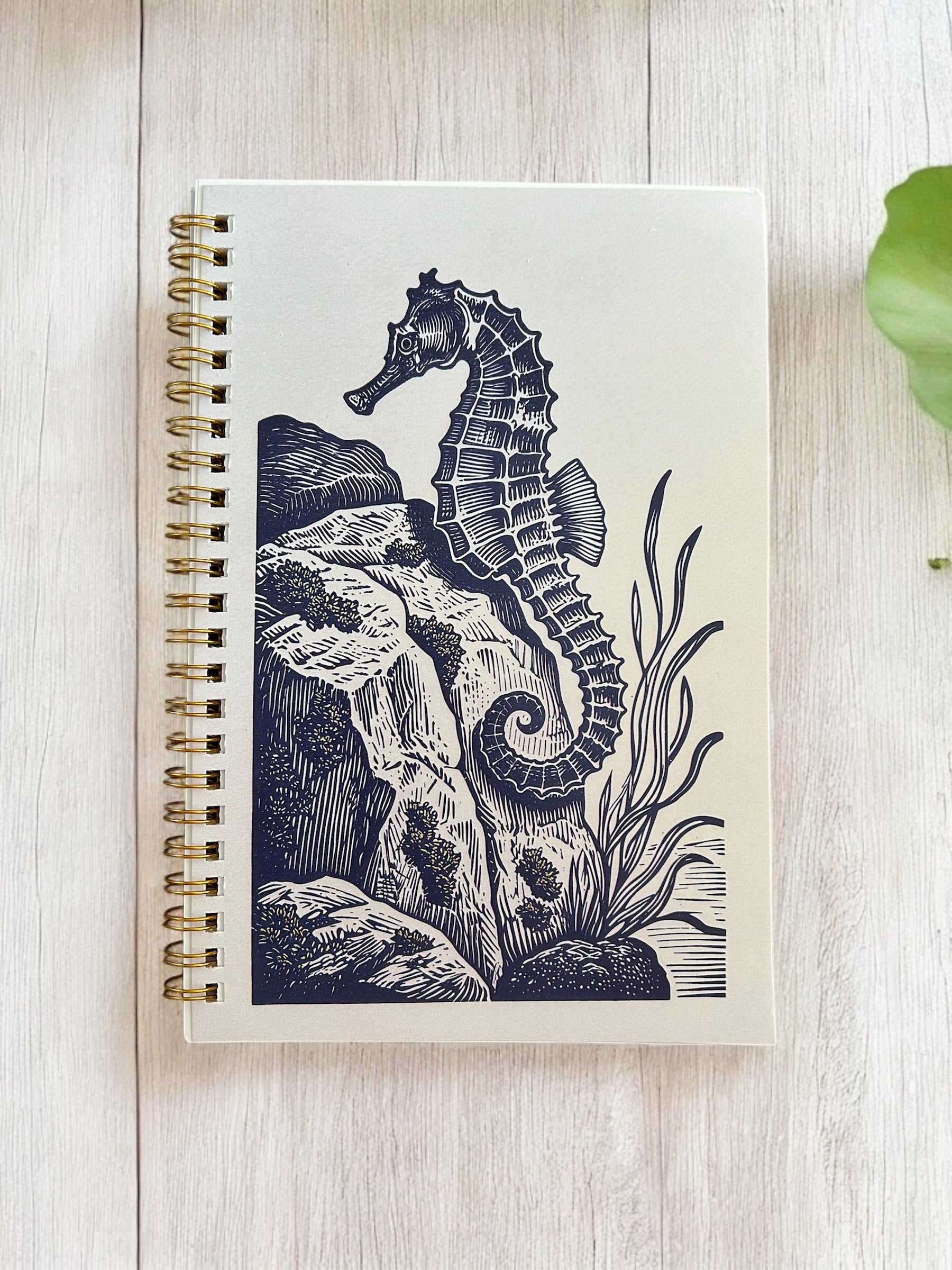 Seahorse Lovers Gift Pack