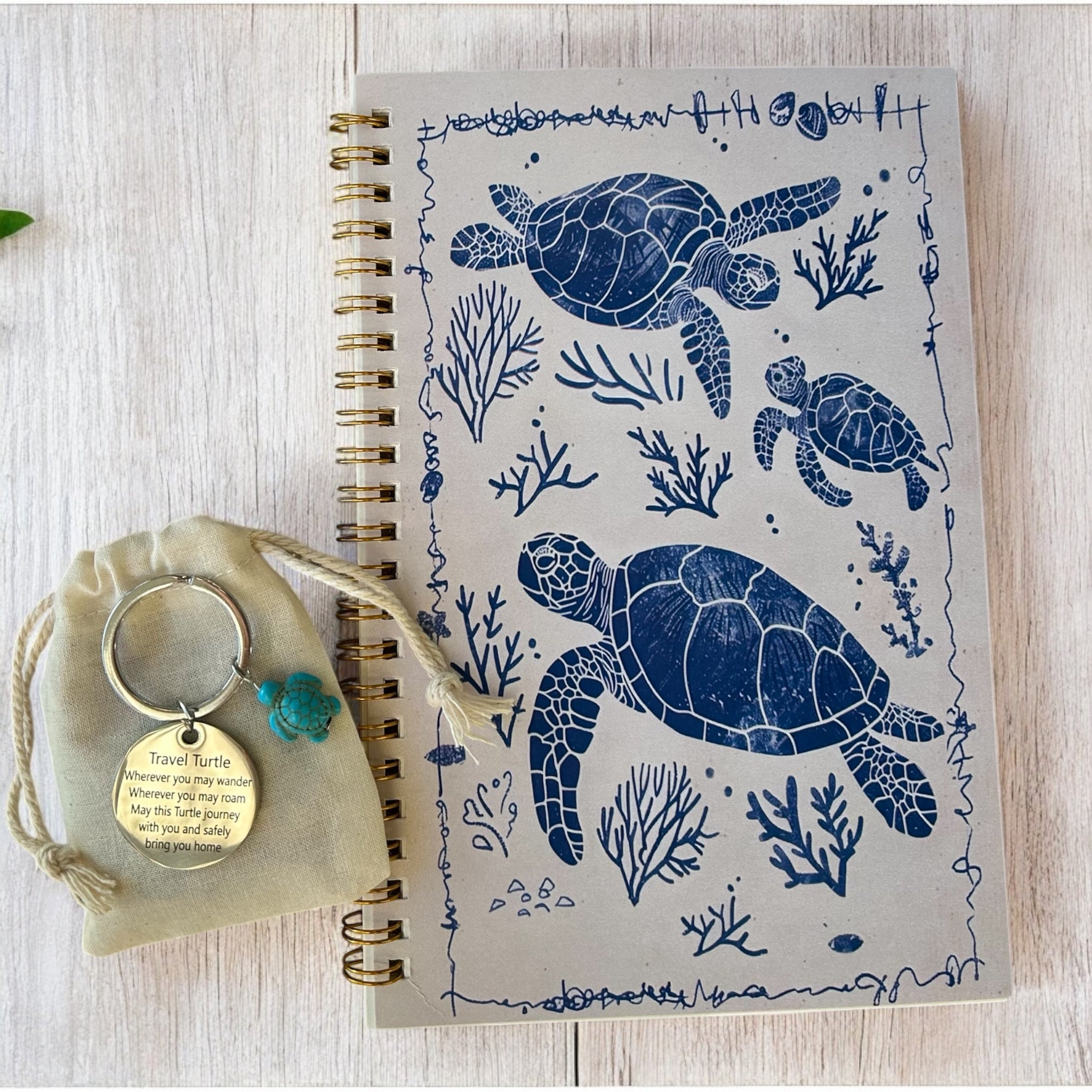 Travel Turtle Journal Gift Pack