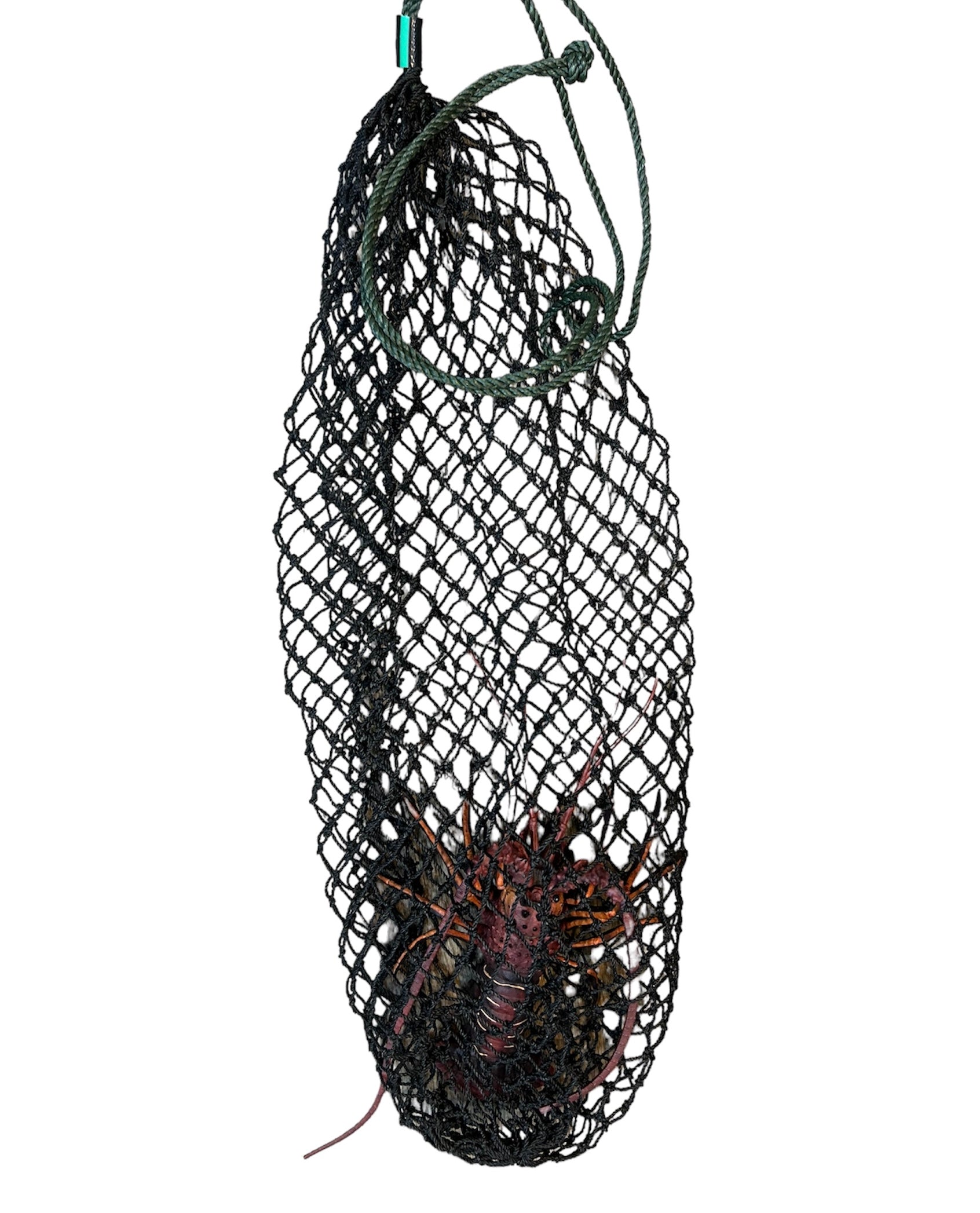 Crayfish net