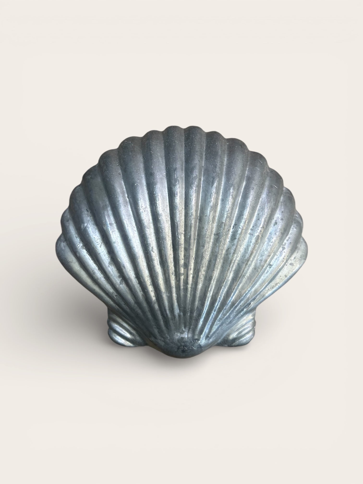 Dive Cave Seashell Lead Weights 1kg